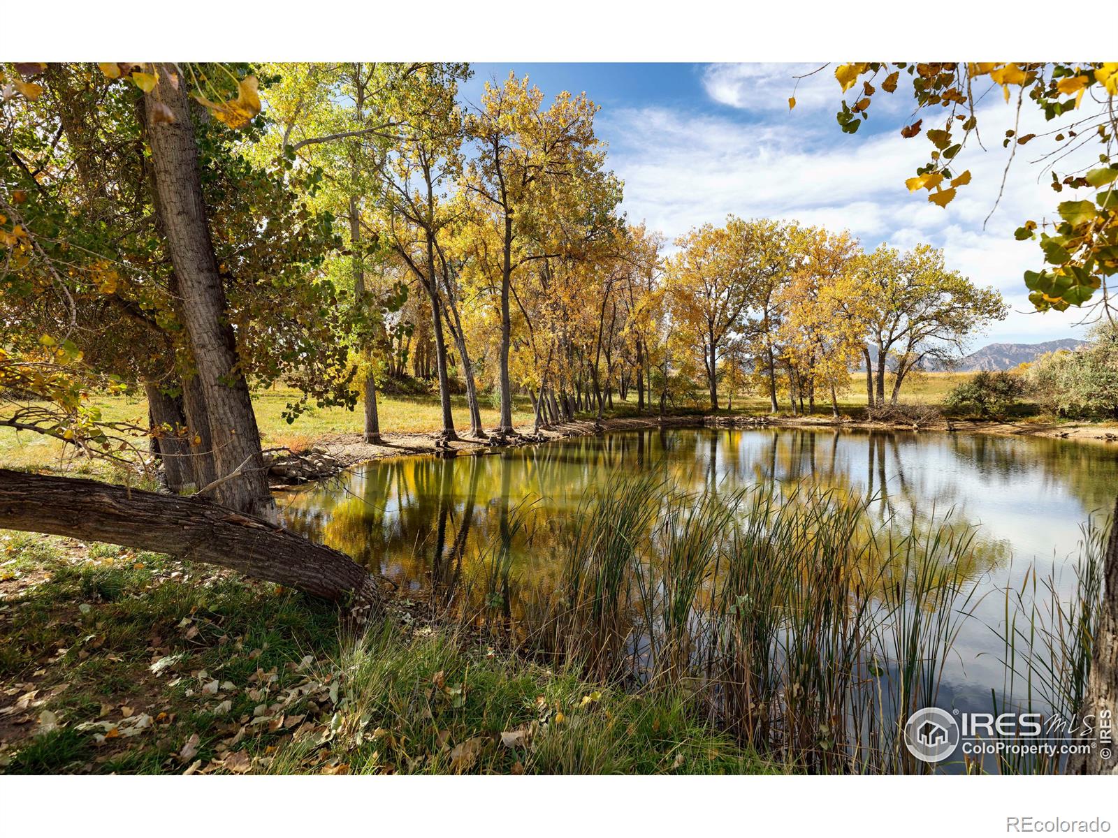 MLS Image #7 for 640 s 68th street,boulder, Colorado