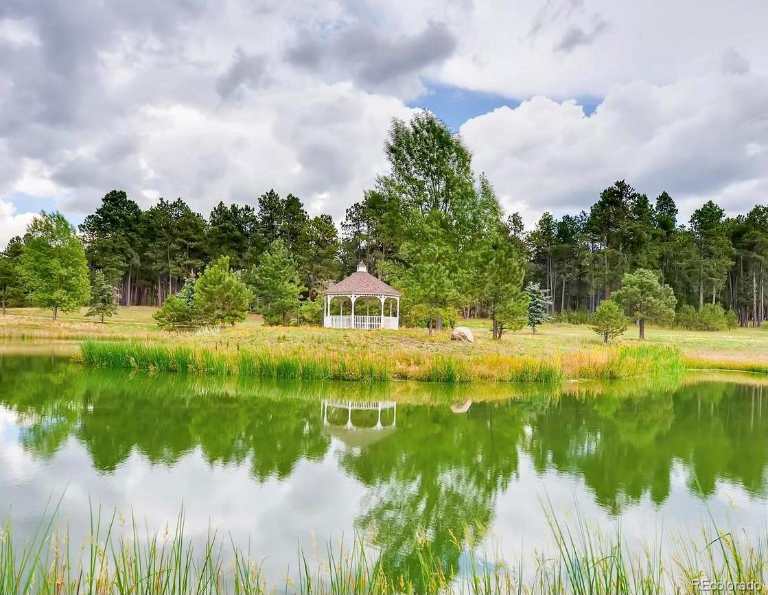 MLS Image #45 for 18545  archers drive,monument, Colorado