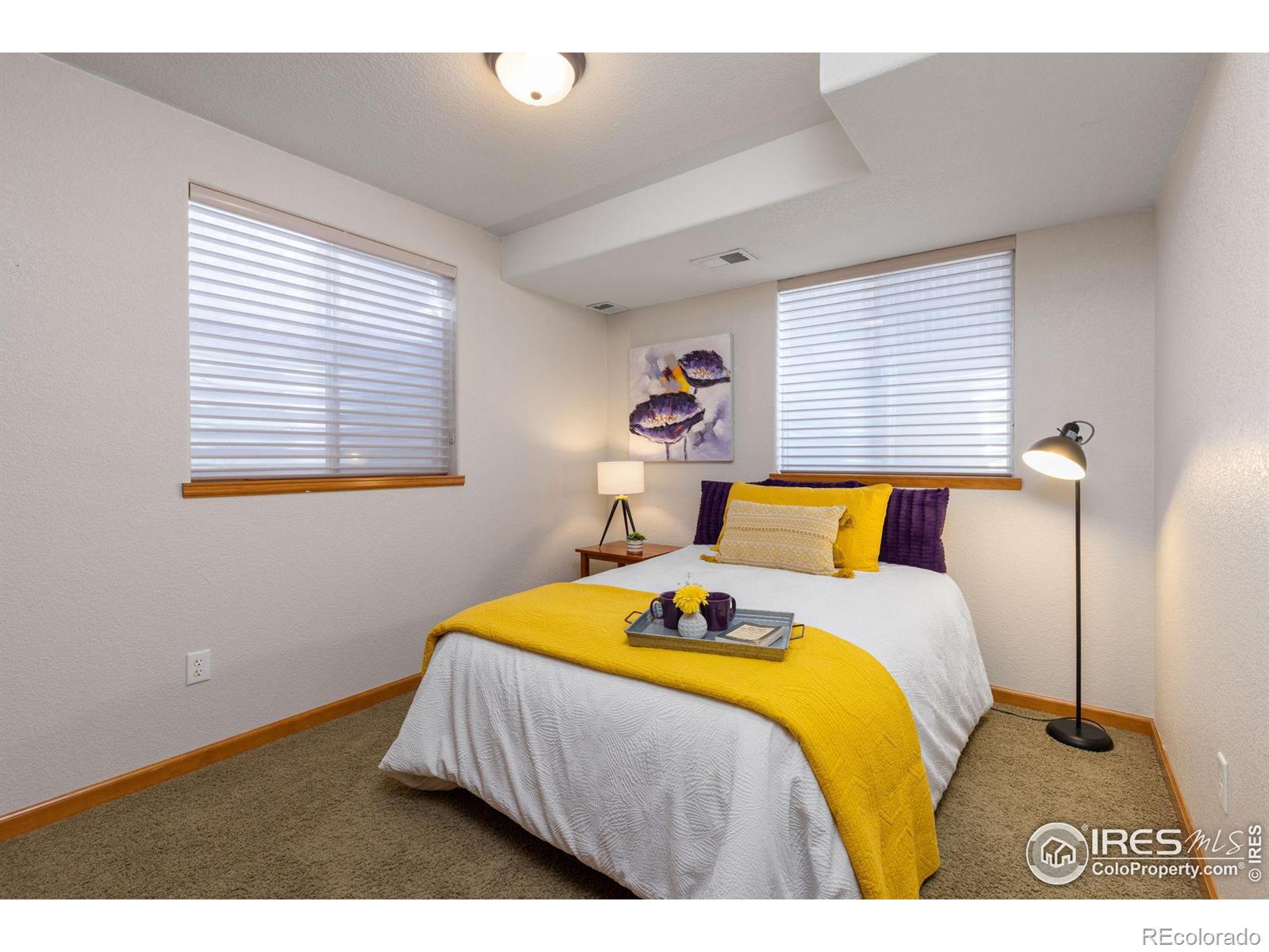 MLS Image #26 for 1239  tyler place,erie, Colorado