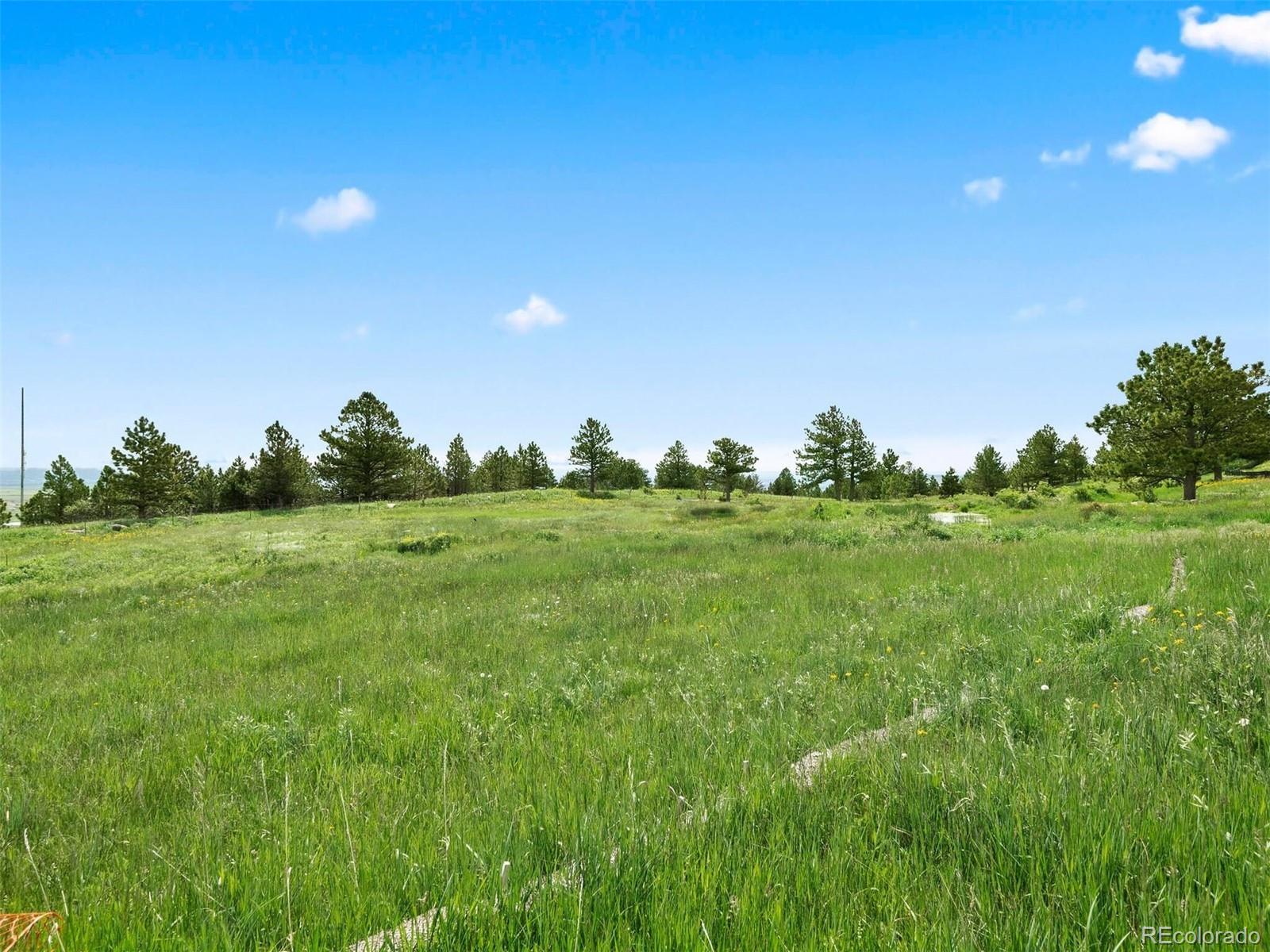 MLS Image #12 for 64  canyon pines drive,golden, Colorado