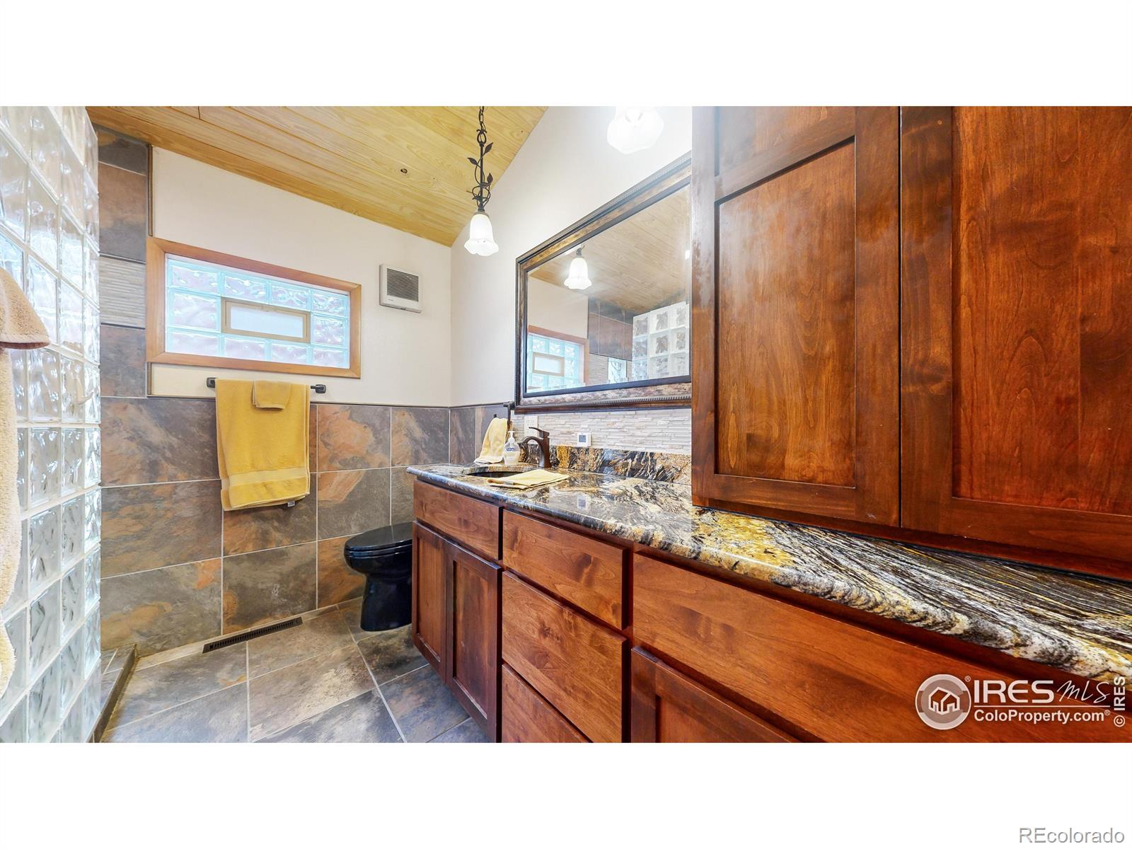 MLS Image #16 for 135  canyon river road,drake, Colorado