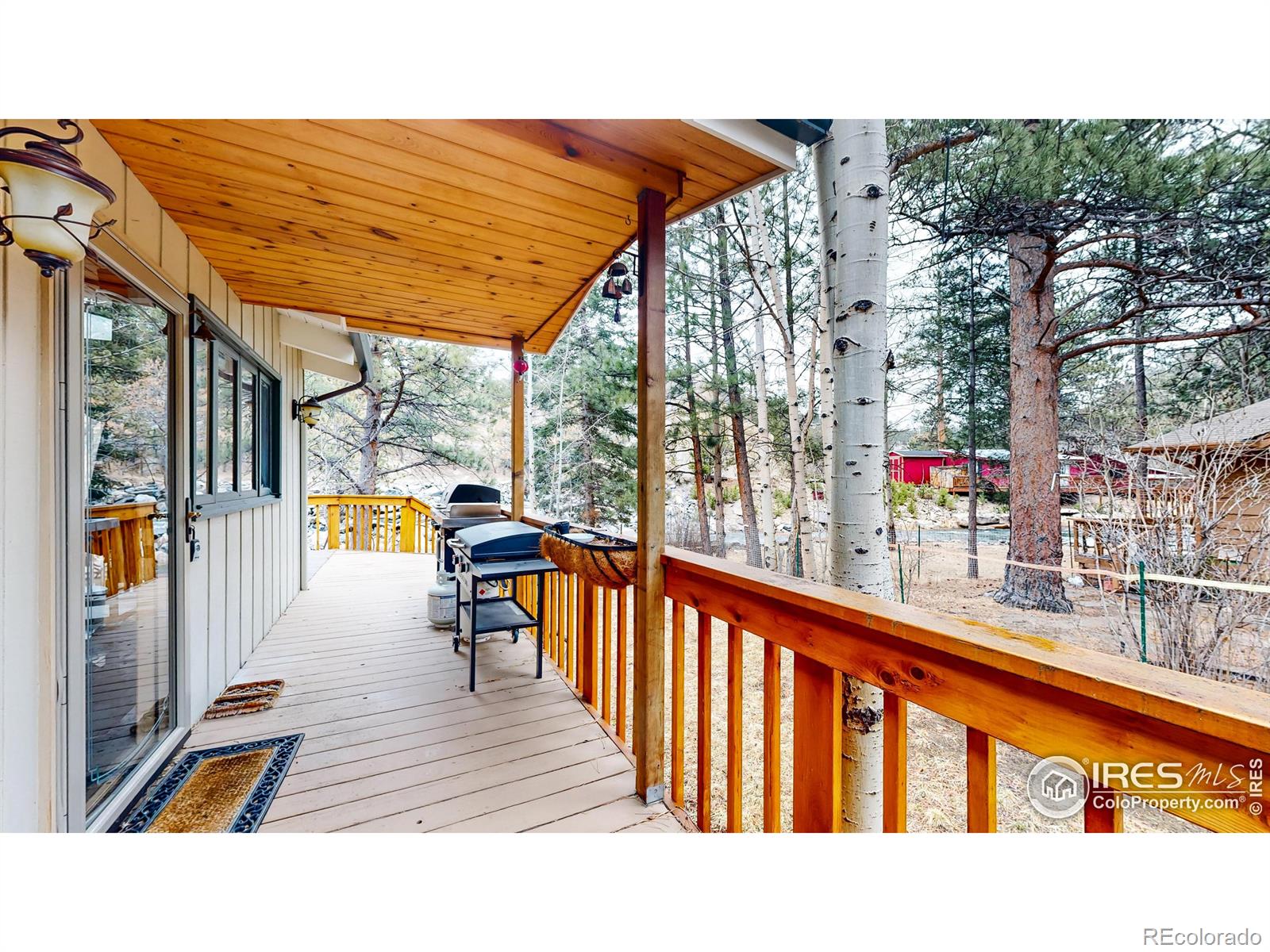 MLS Image #21 for 135  canyon river road,drake, Colorado