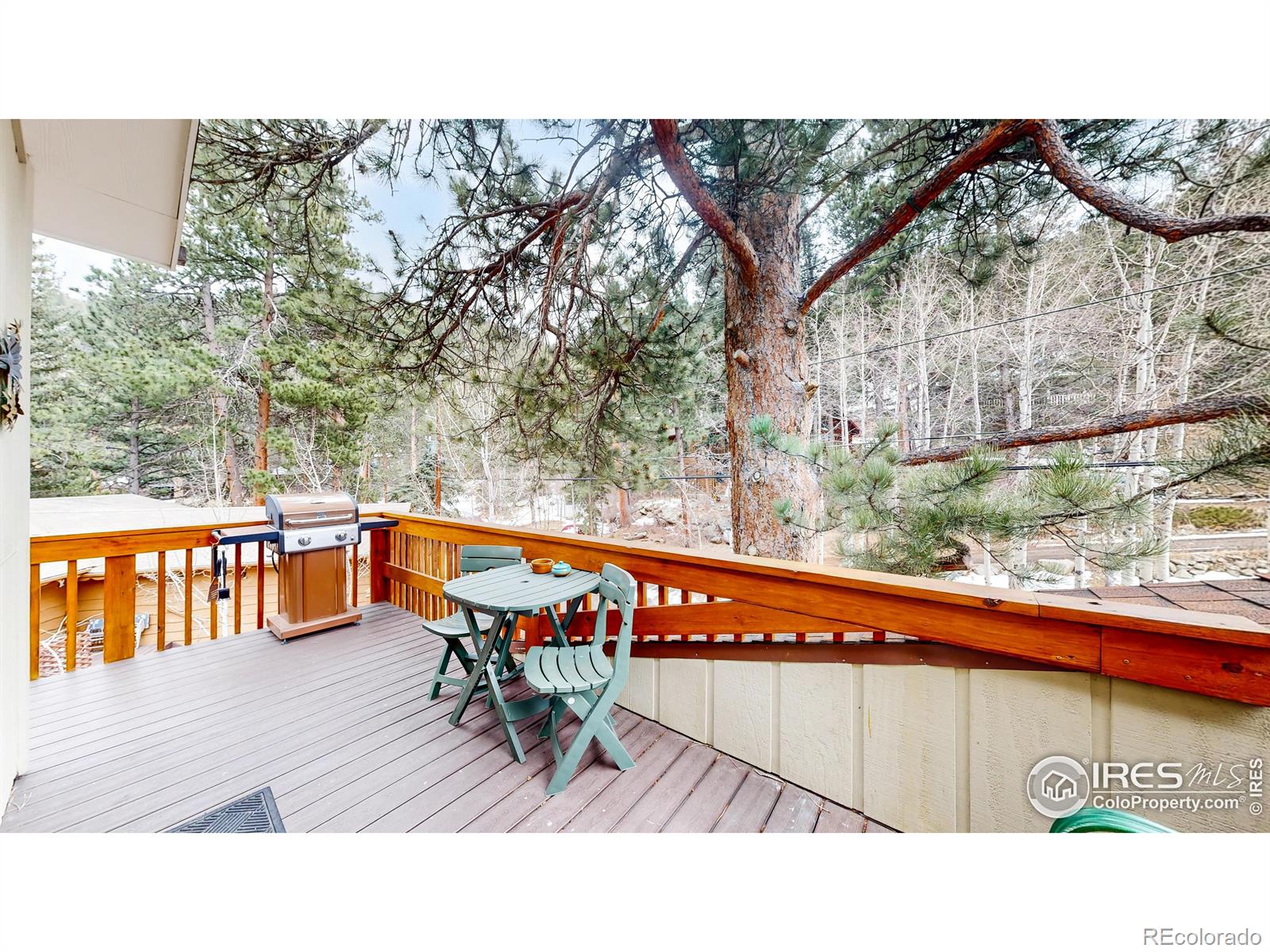 MLS Image #28 for 135  canyon river road,drake, Colorado