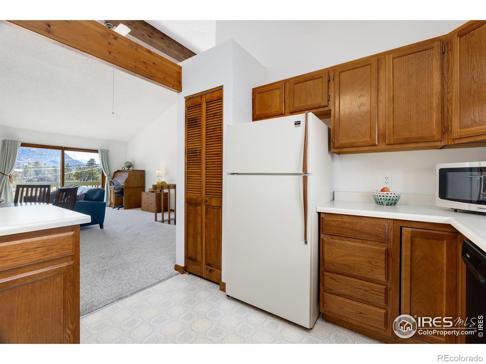 MLS Image #21 for 514  grand estates drive,estes park, Colorado