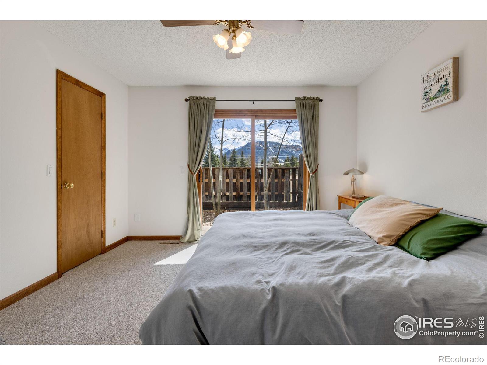 MLS Image #23 for 514  grand estates drive,estes park, Colorado