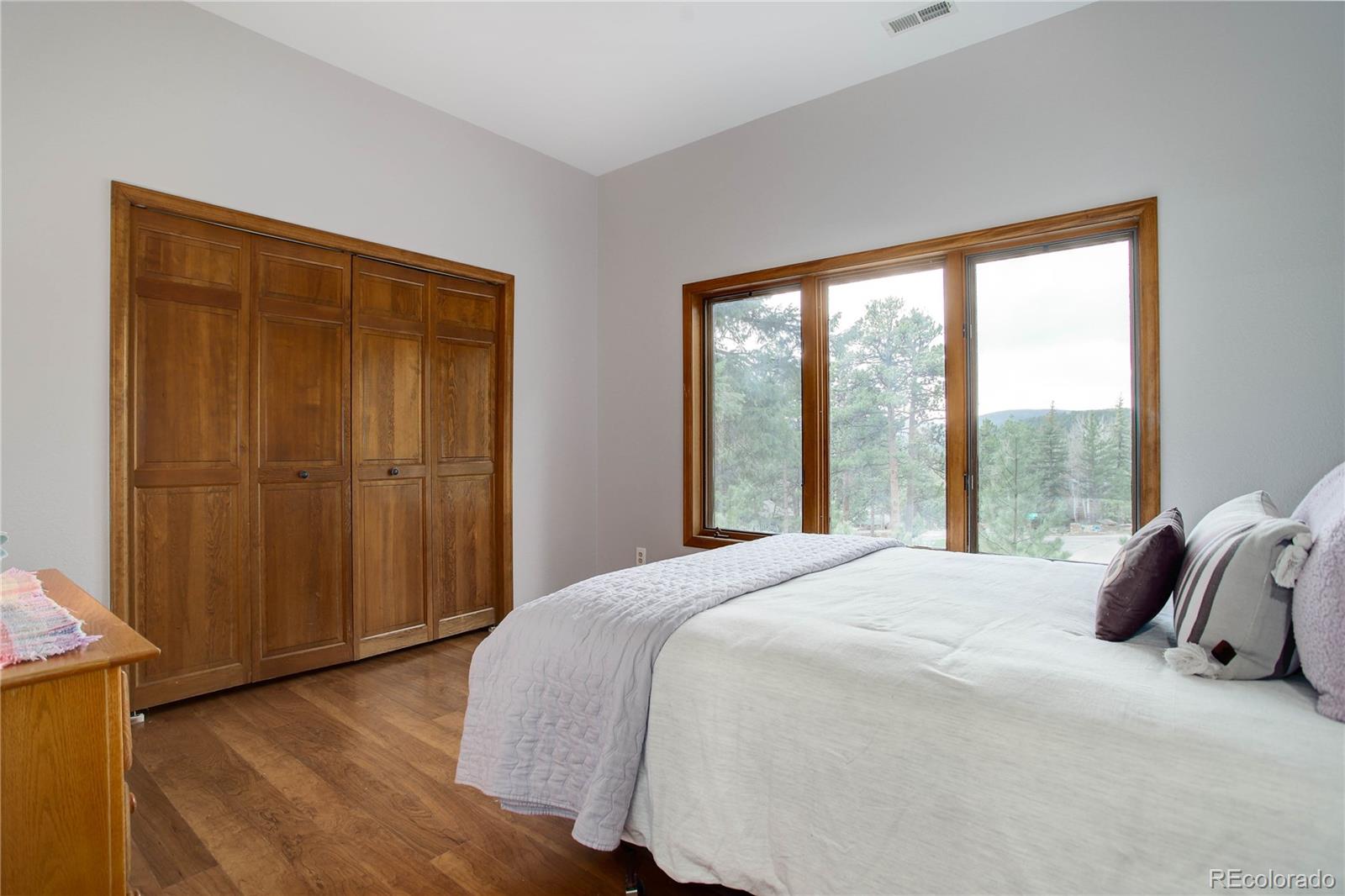 MLS Image #36 for 29921  troutdale ridge road,evergreen, Colorado