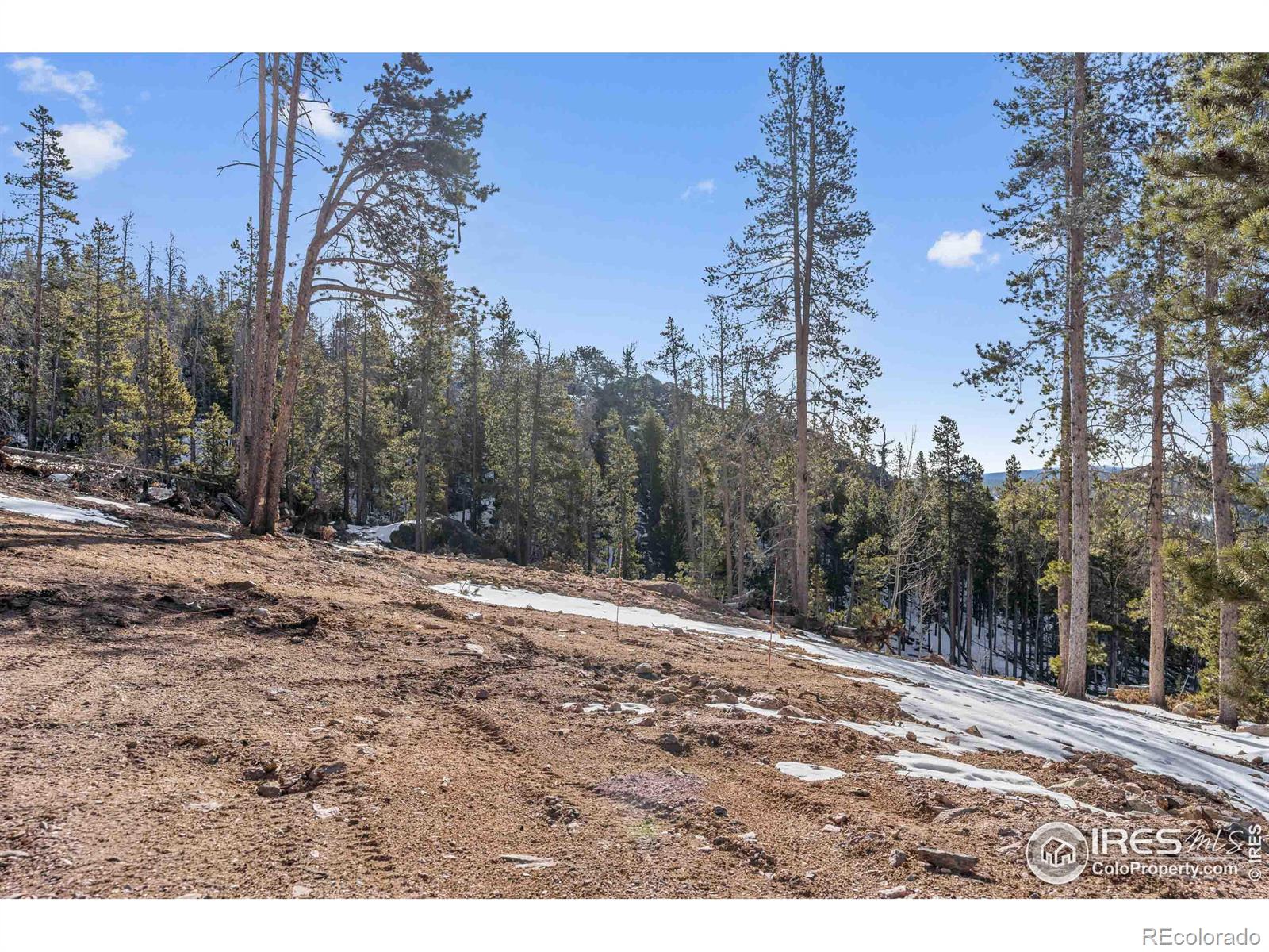 MLS Image #23 for 528  micmac drive,red feather lakes, Colorado