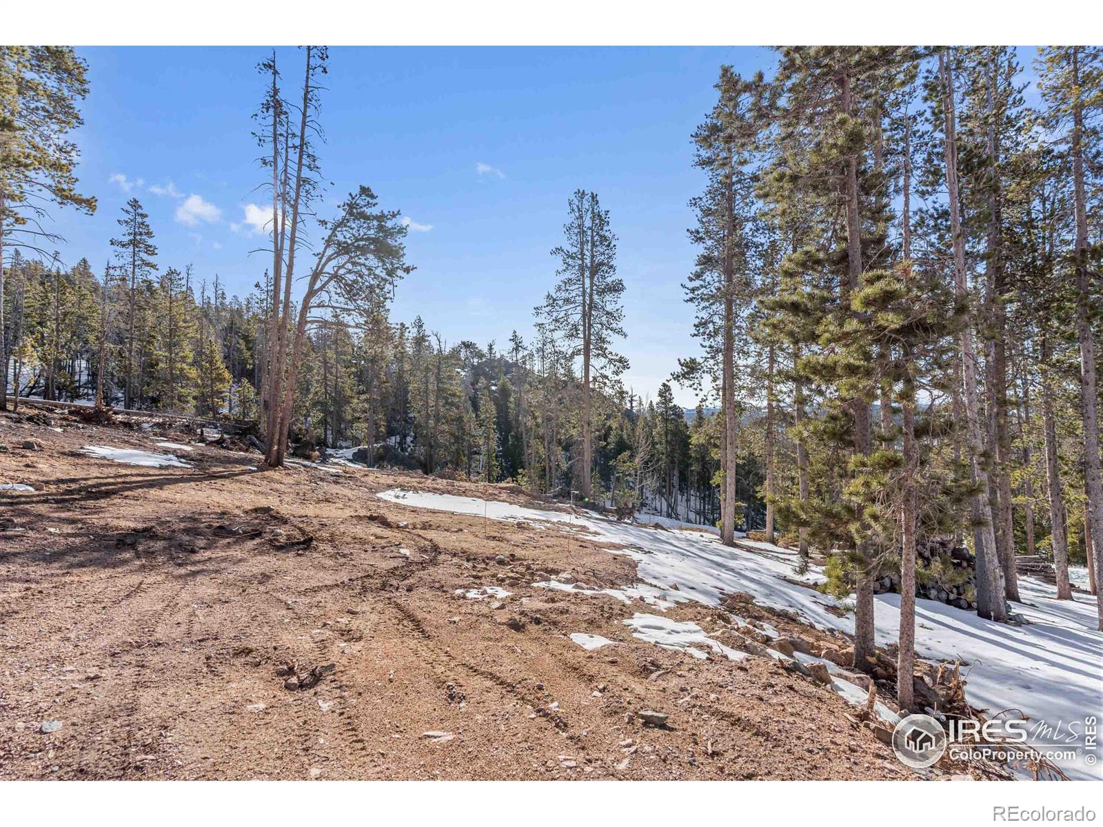 MLS Image #24 for 528  micmac drive,red feather lakes, Colorado