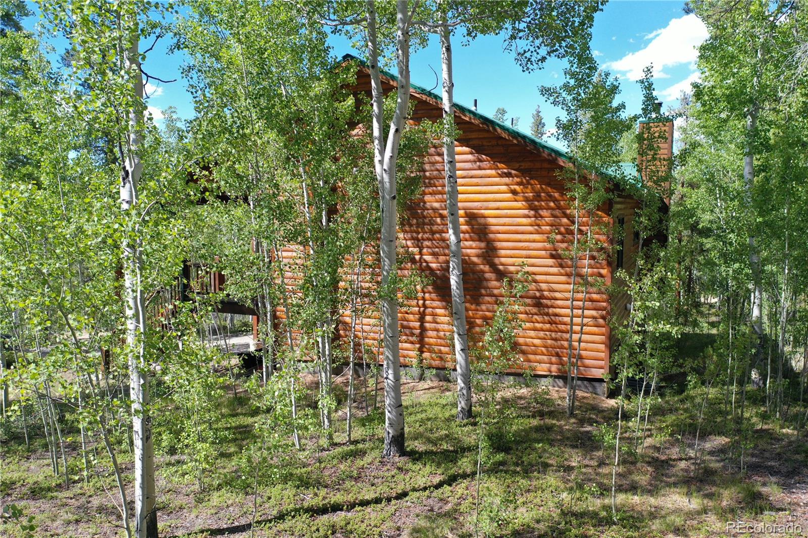 MLS Image #37 for 872  lodgepole drive,twin lakes, Colorado