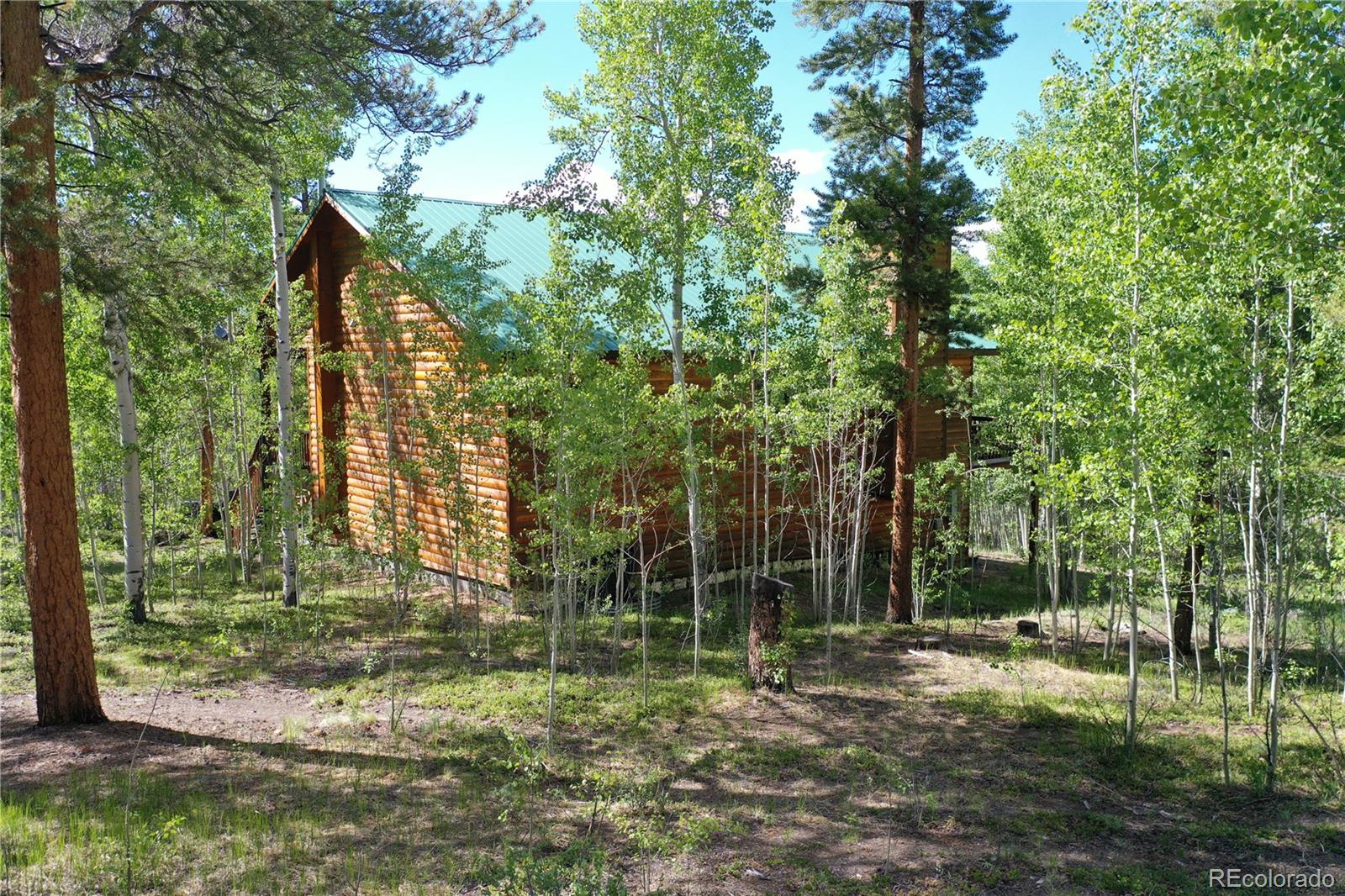 MLS Image #38 for 872  lodgepole drive,twin lakes, Colorado