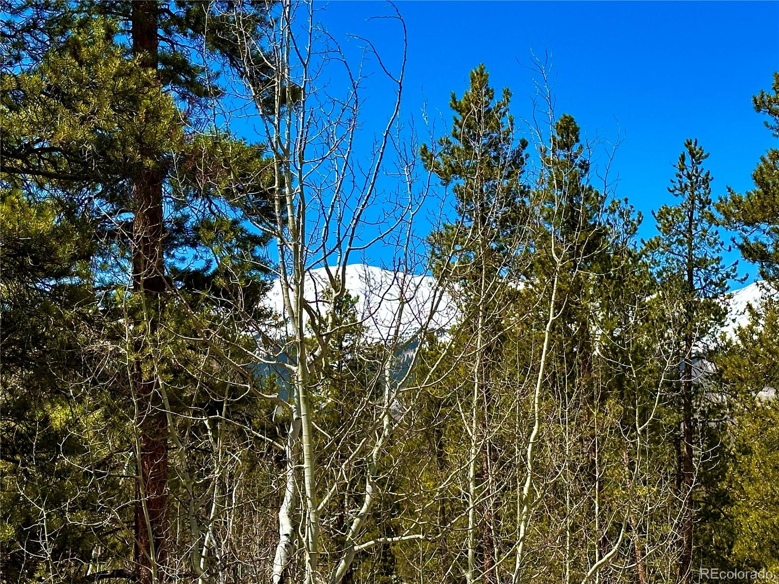 MLS Image #4 for 872  lodgepole drive,twin lakes, Colorado
