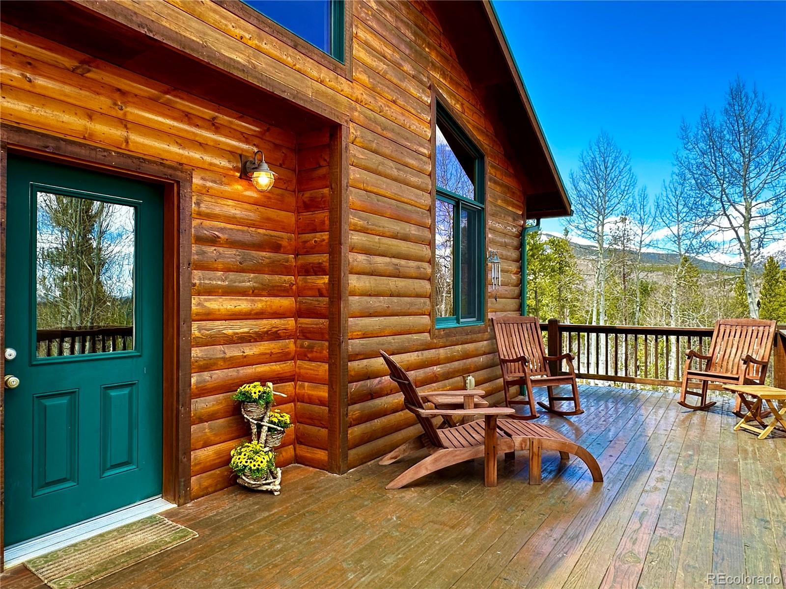MLS Image #6 for 872  lodgepole drive,twin lakes, Colorado