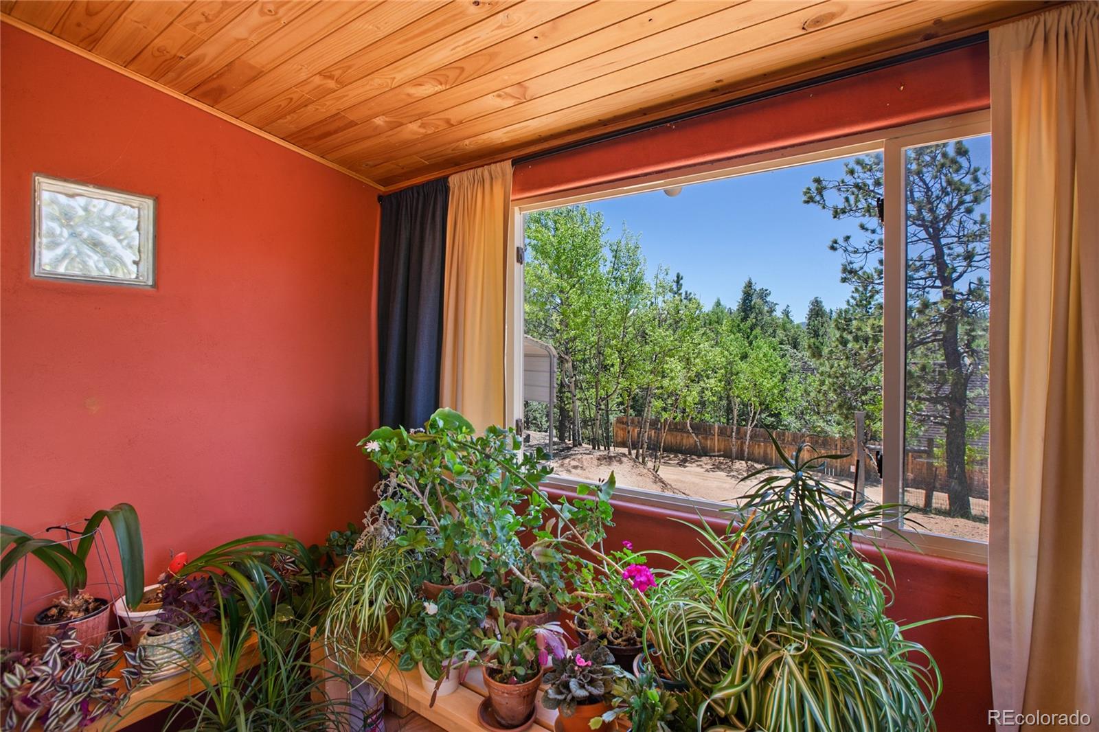 MLS Image #21 for 47  aspen road,woodland park, Colorado