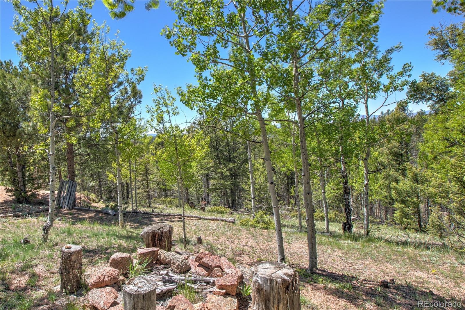 MLS Image #33 for 47  aspen road,woodland park, Colorado