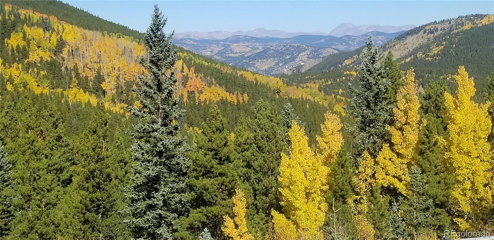 MLS Image #36 for 76  squaw mtn trail,idaho springs, Colorado