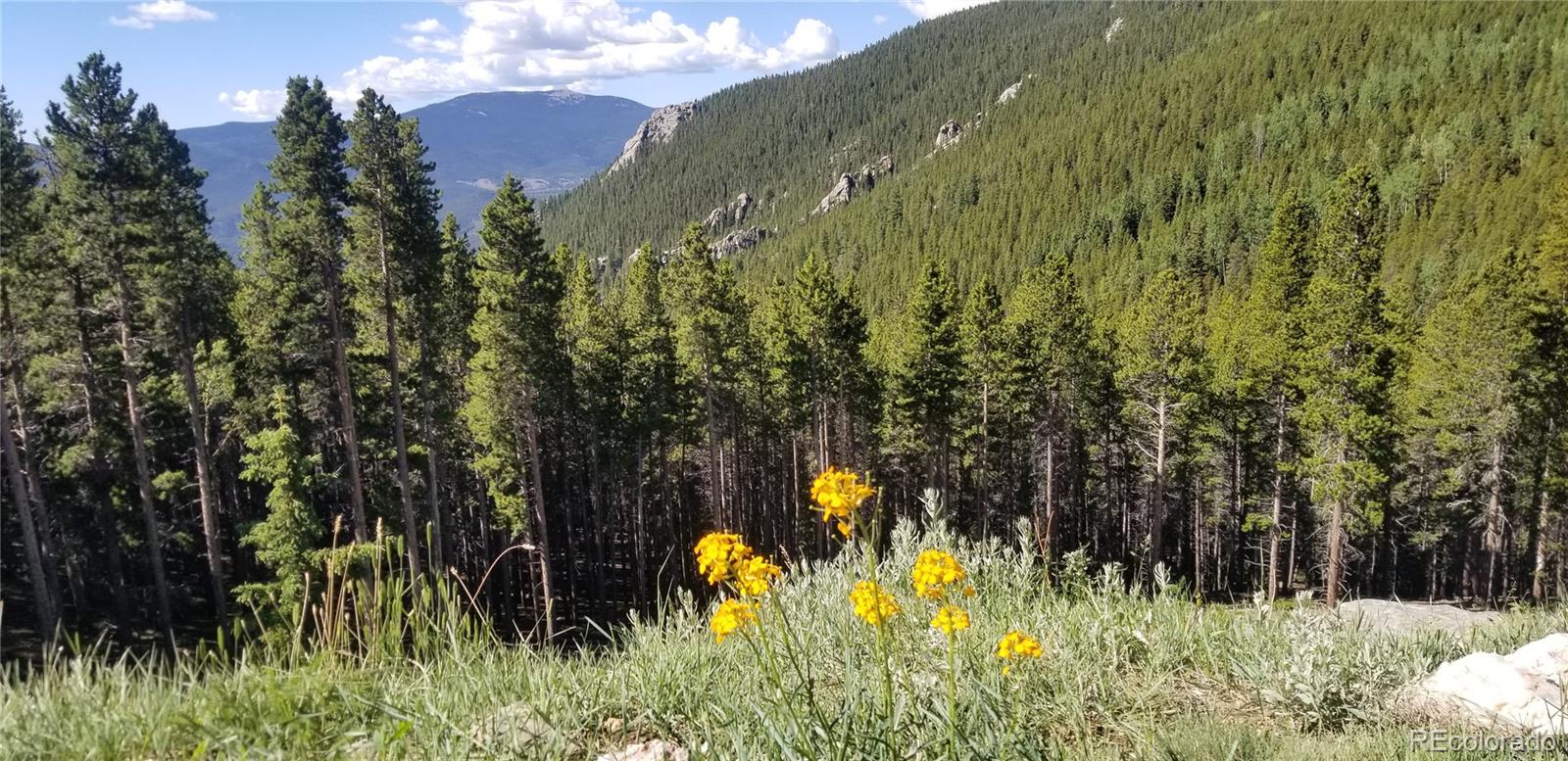 MLS Image #42 for 76  squaw mtn trail,idaho springs, Colorado