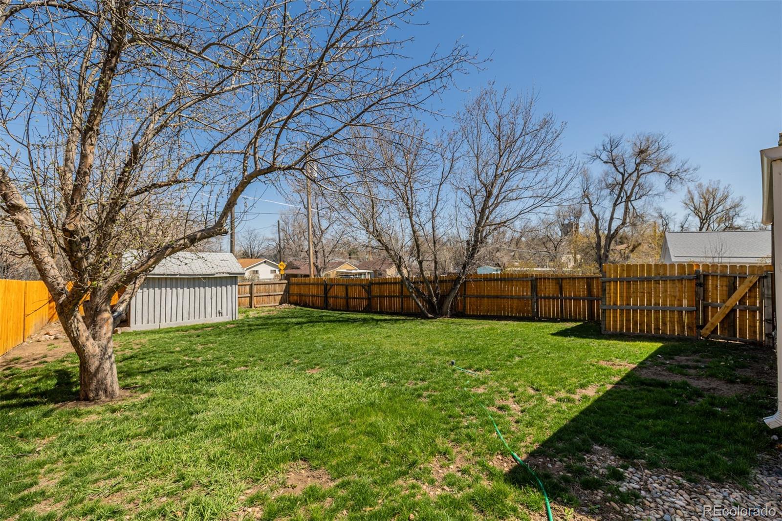 MLS Image #33 for 970  welch street,golden, Colorado