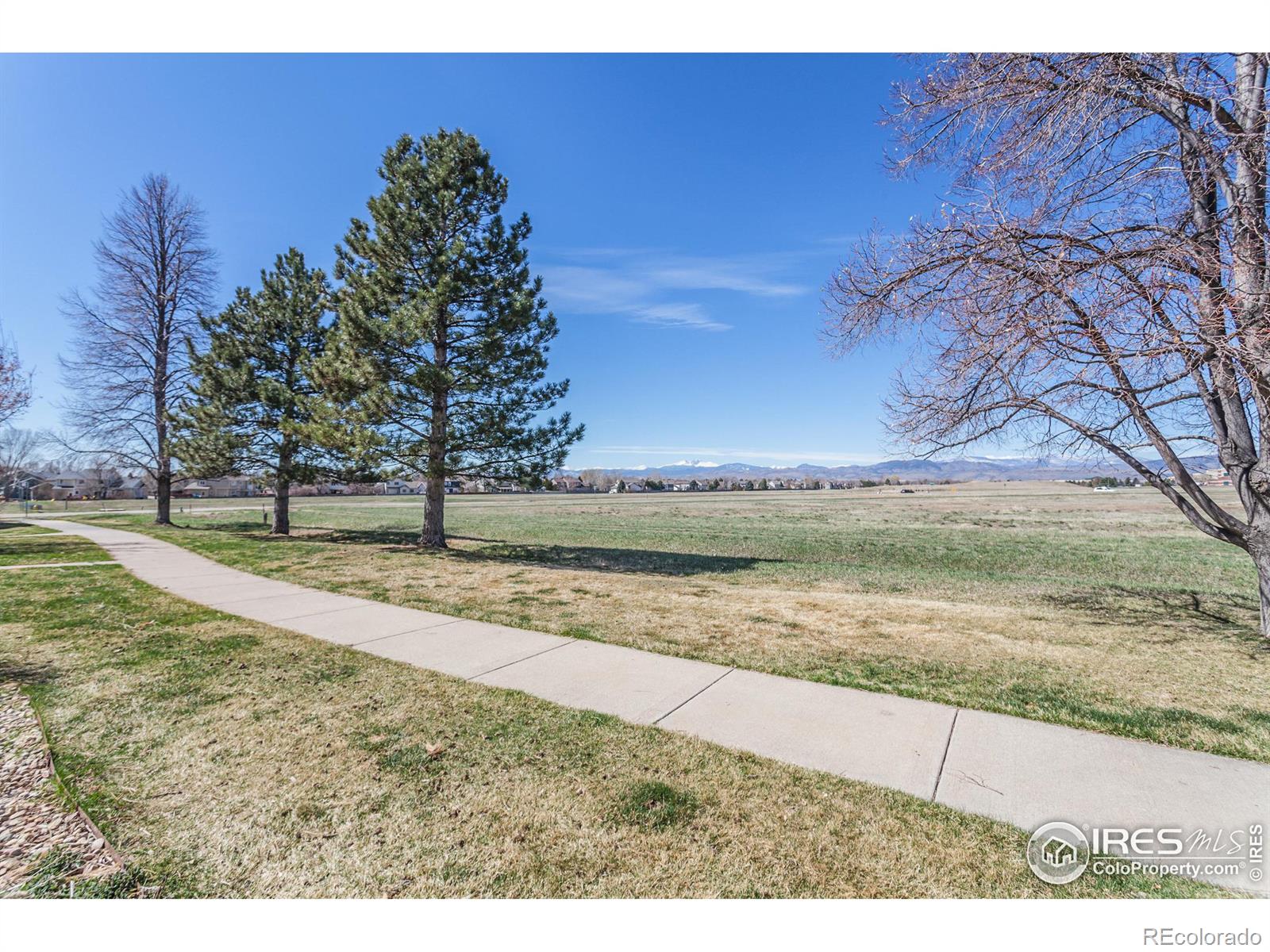 MLS Image #25 for 2502  timberwood drive,fort collins, Colorado