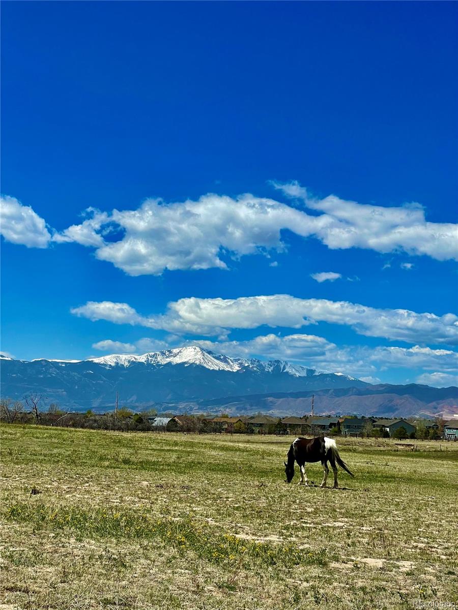 MLS Image #1 for 8254  crown lane,colorado springs, Colorado