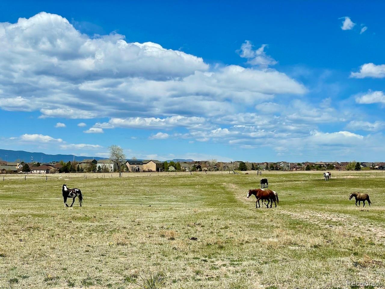 MLS Image #2 for 8254  crown lane,colorado springs, Colorado