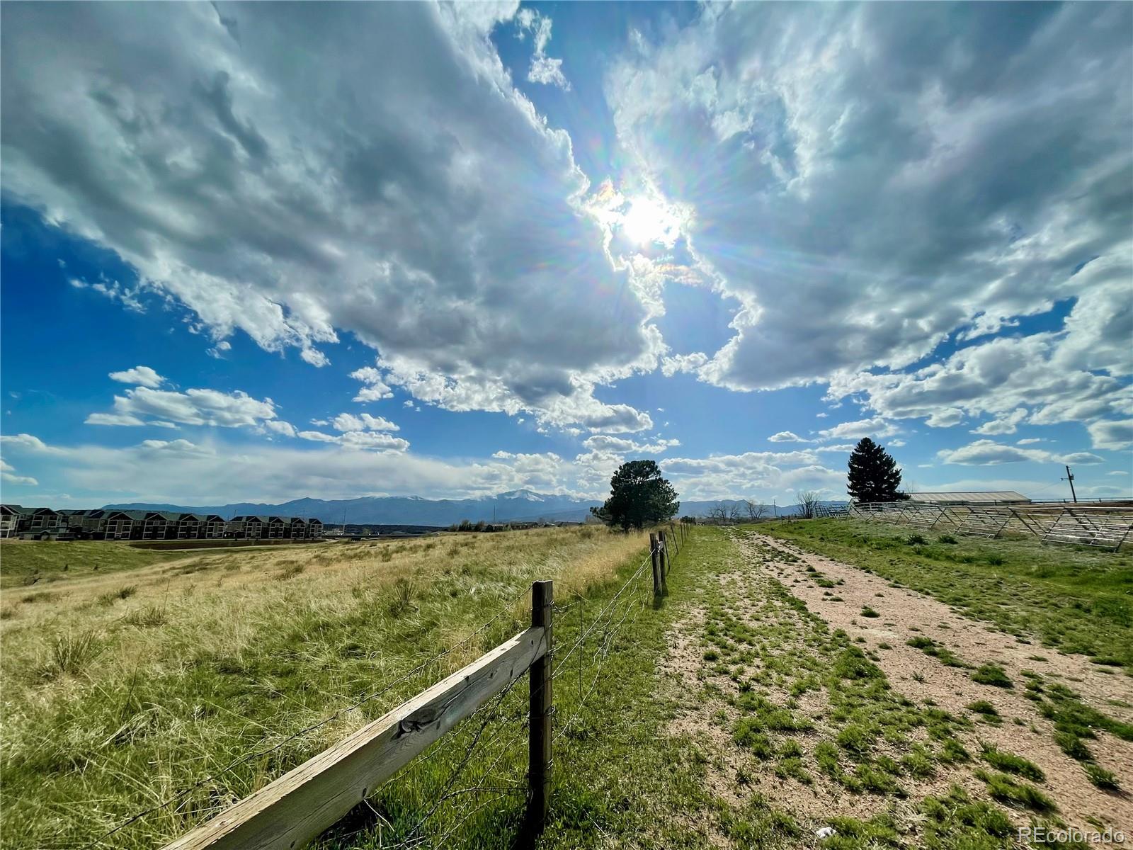 MLS Image #6 for 8254  crown lane,colorado springs, Colorado