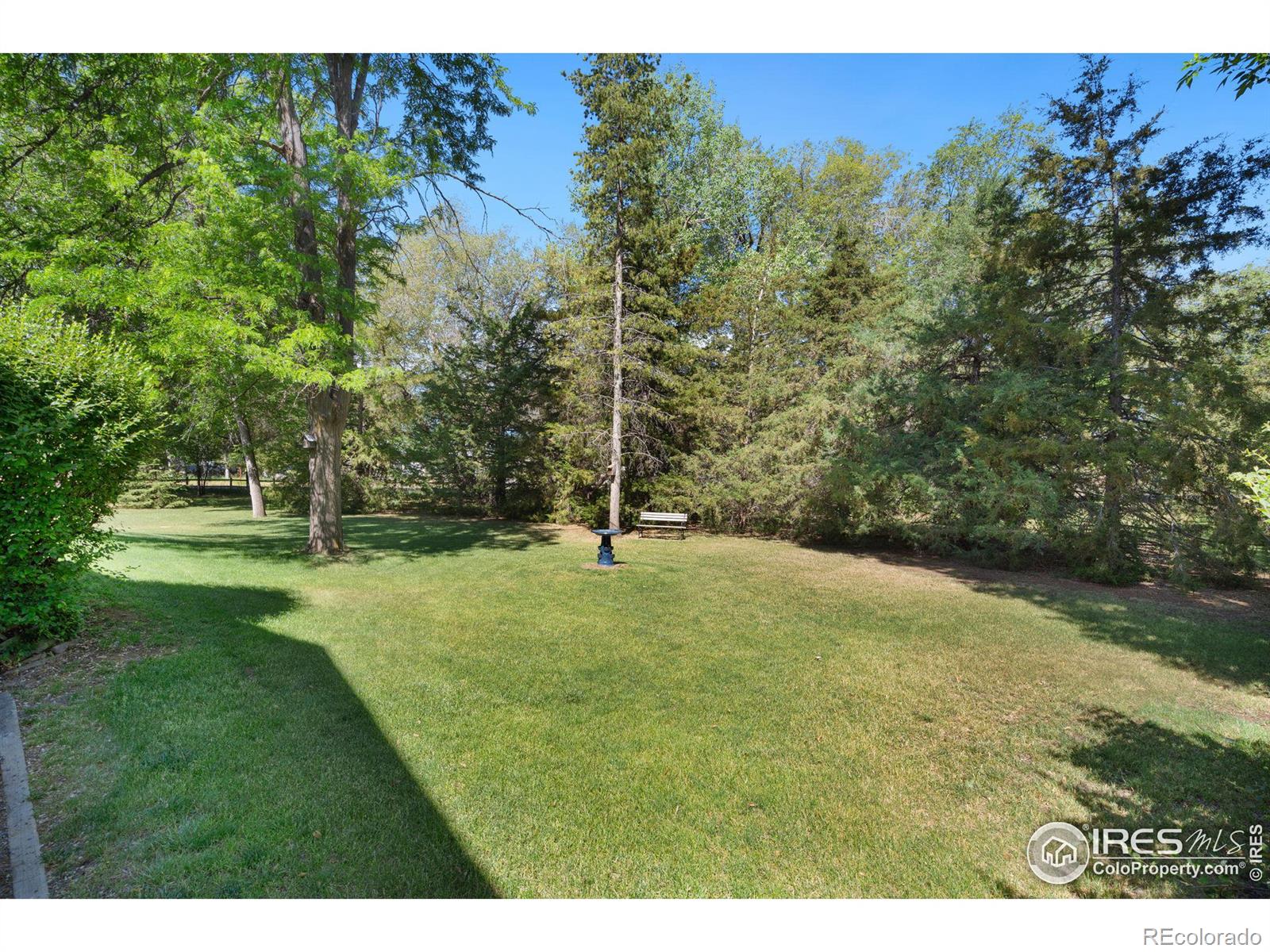 MLS Image #31 for 1317  mary circle,fort collins, Colorado
