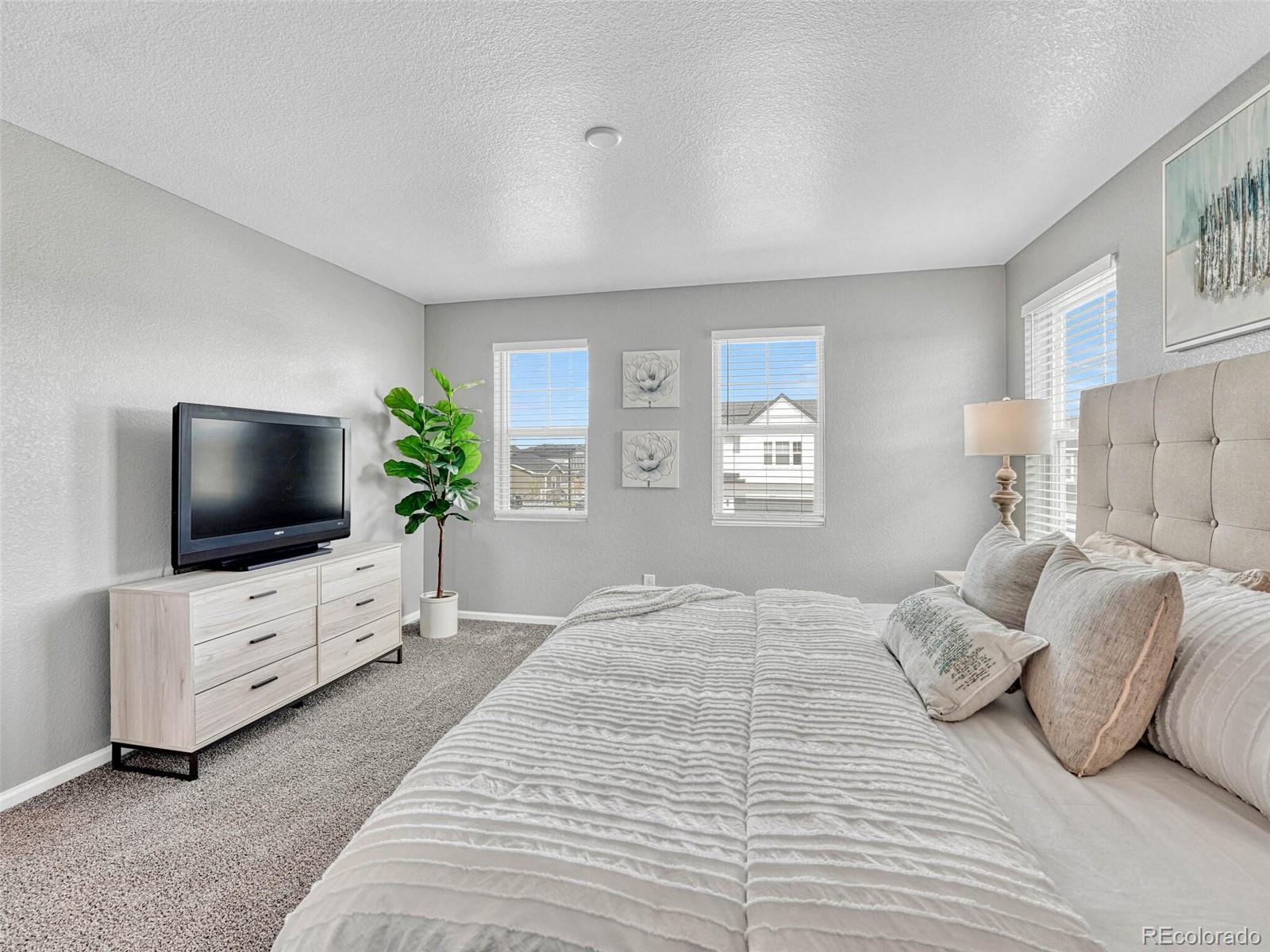 MLS Image #23 for 2556  gray wolf place,castle rock, Colorado