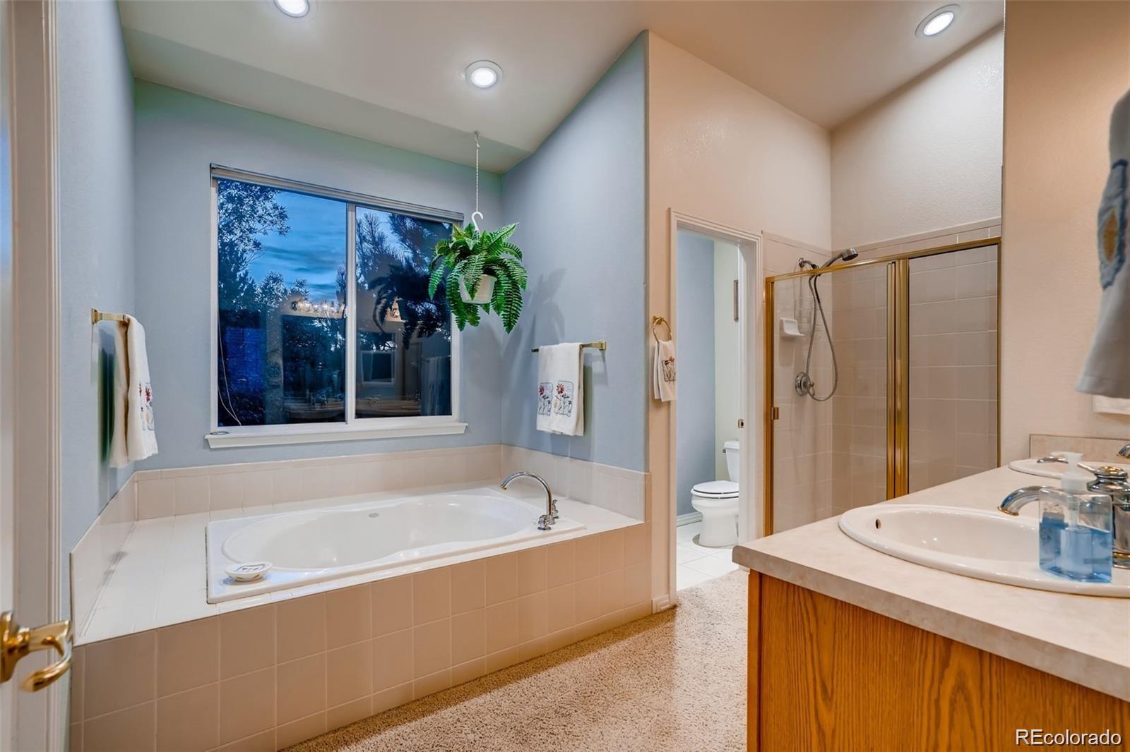 MLS Image #9 for 935  green gables circle,bennett, Colorado