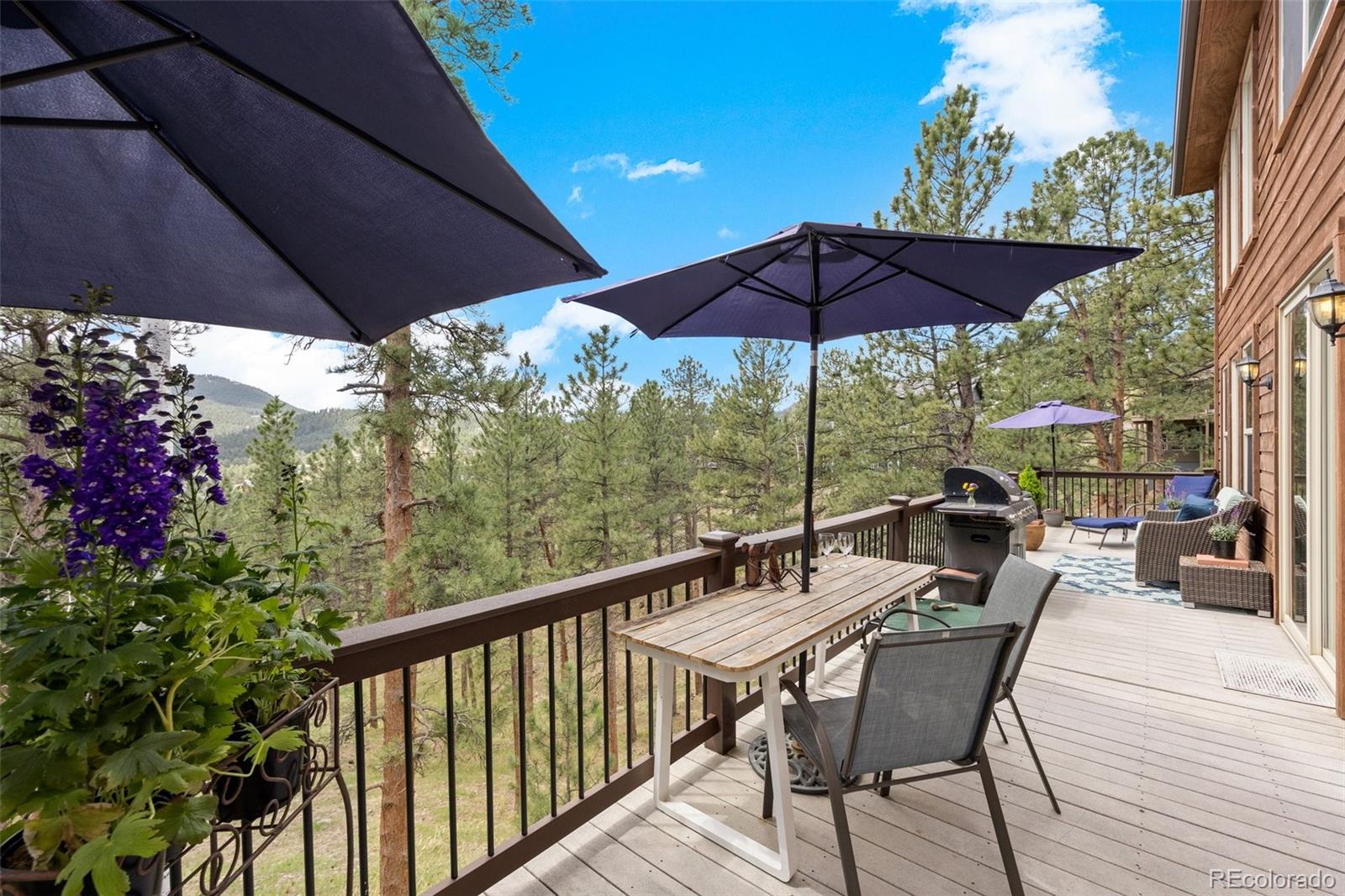 MLS Image #14 for 26226  sweetbriar trail,evergreen, Colorado