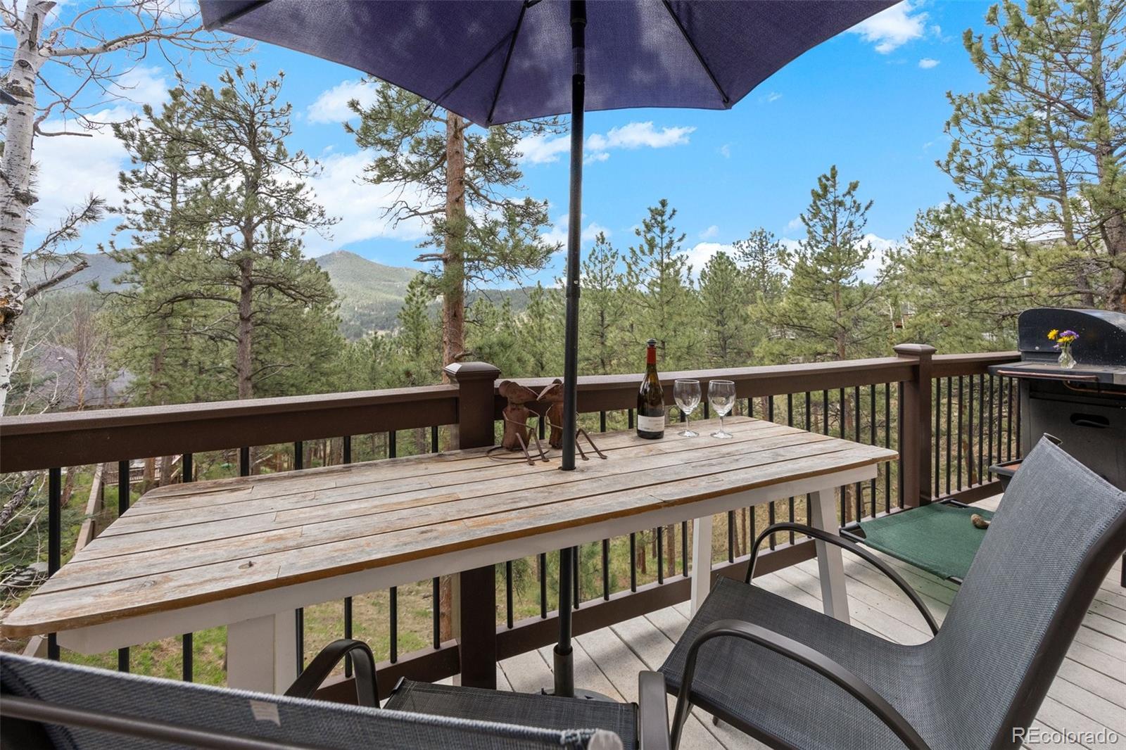 MLS Image #15 for 26226  sweetbriar trail,evergreen, Colorado