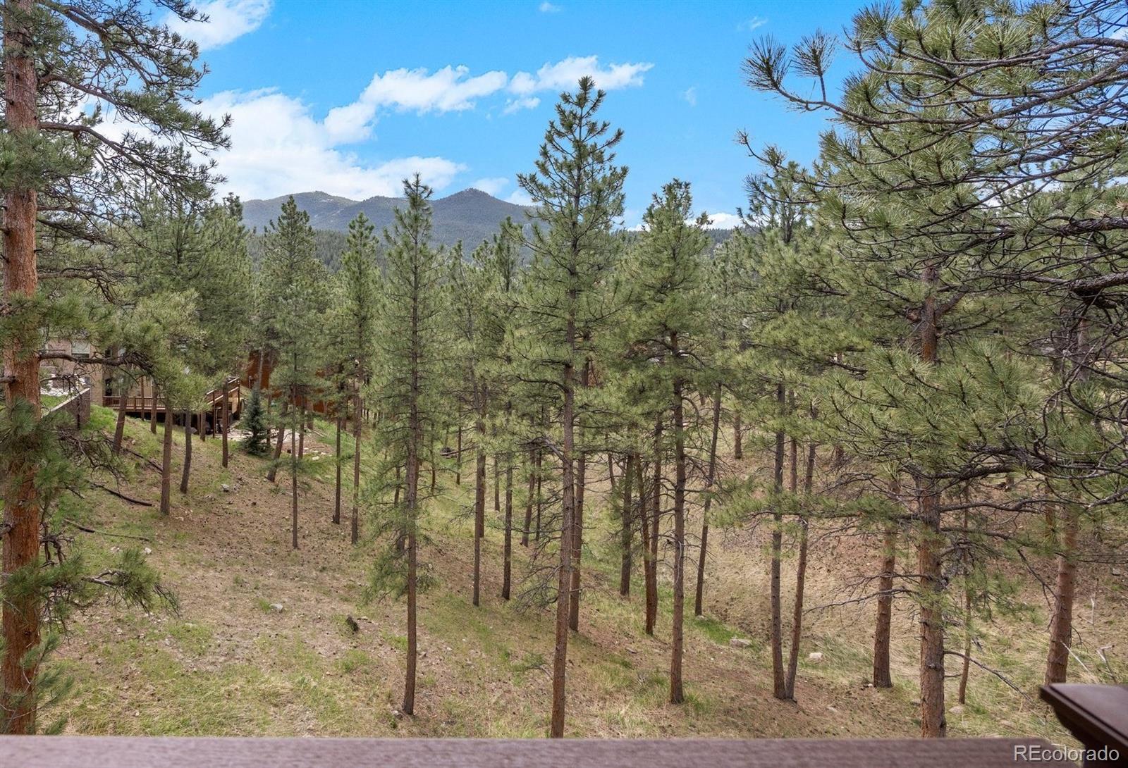 MLS Image #18 for 26226  sweetbriar trail,evergreen, Colorado