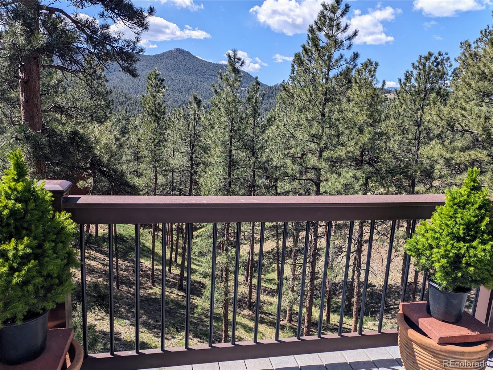 MLS Image #19 for 26226  sweetbriar trail,evergreen, Colorado