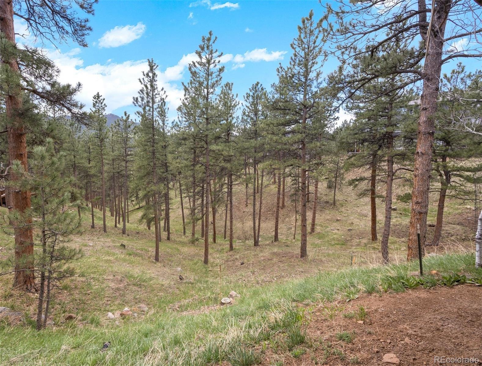 MLS Image #35 for 26226  sweetbriar trail,evergreen, Colorado