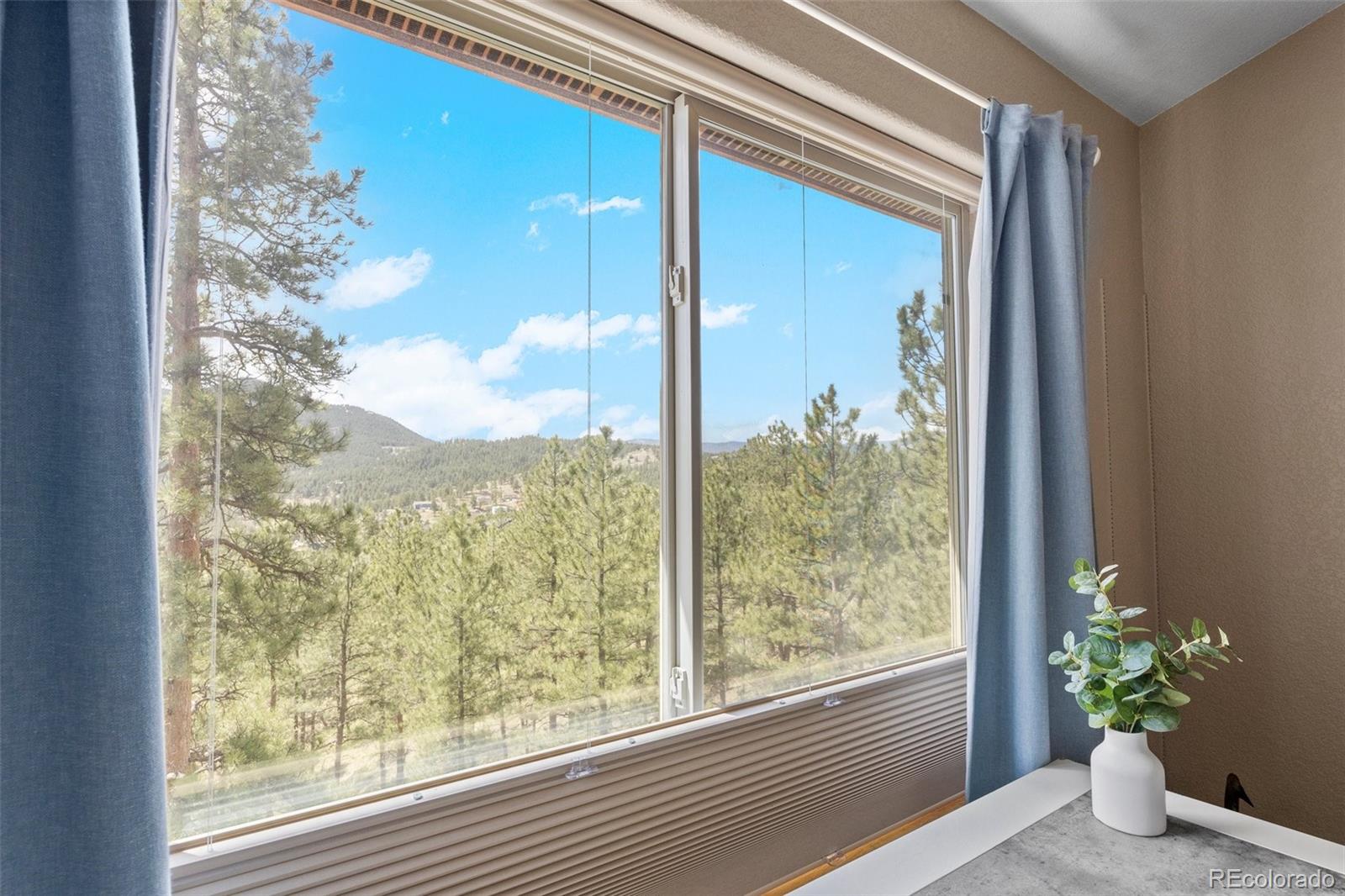 MLS Image #6 for 26226  sweetbriar trail,evergreen, Colorado