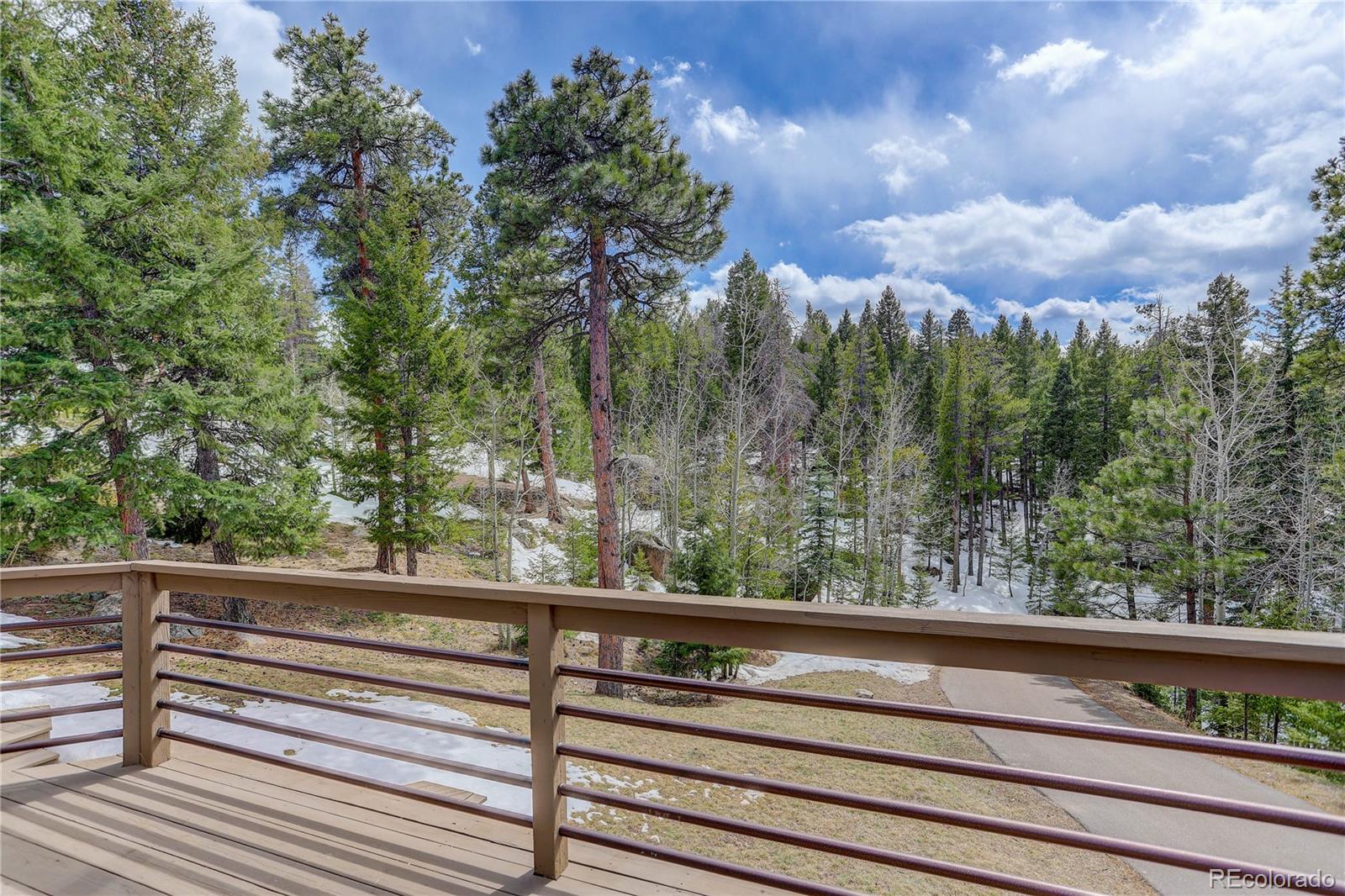 MLS Image #45 for 6822  snowshoe trail,evergreen, Colorado