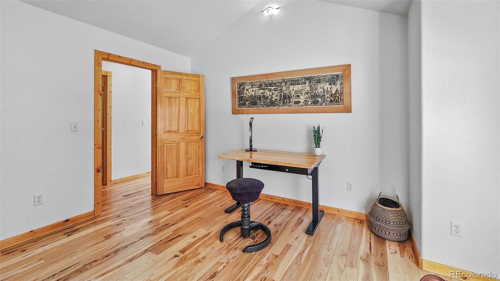 MLS Image #21 for 256  canon court,fairplay, Colorado