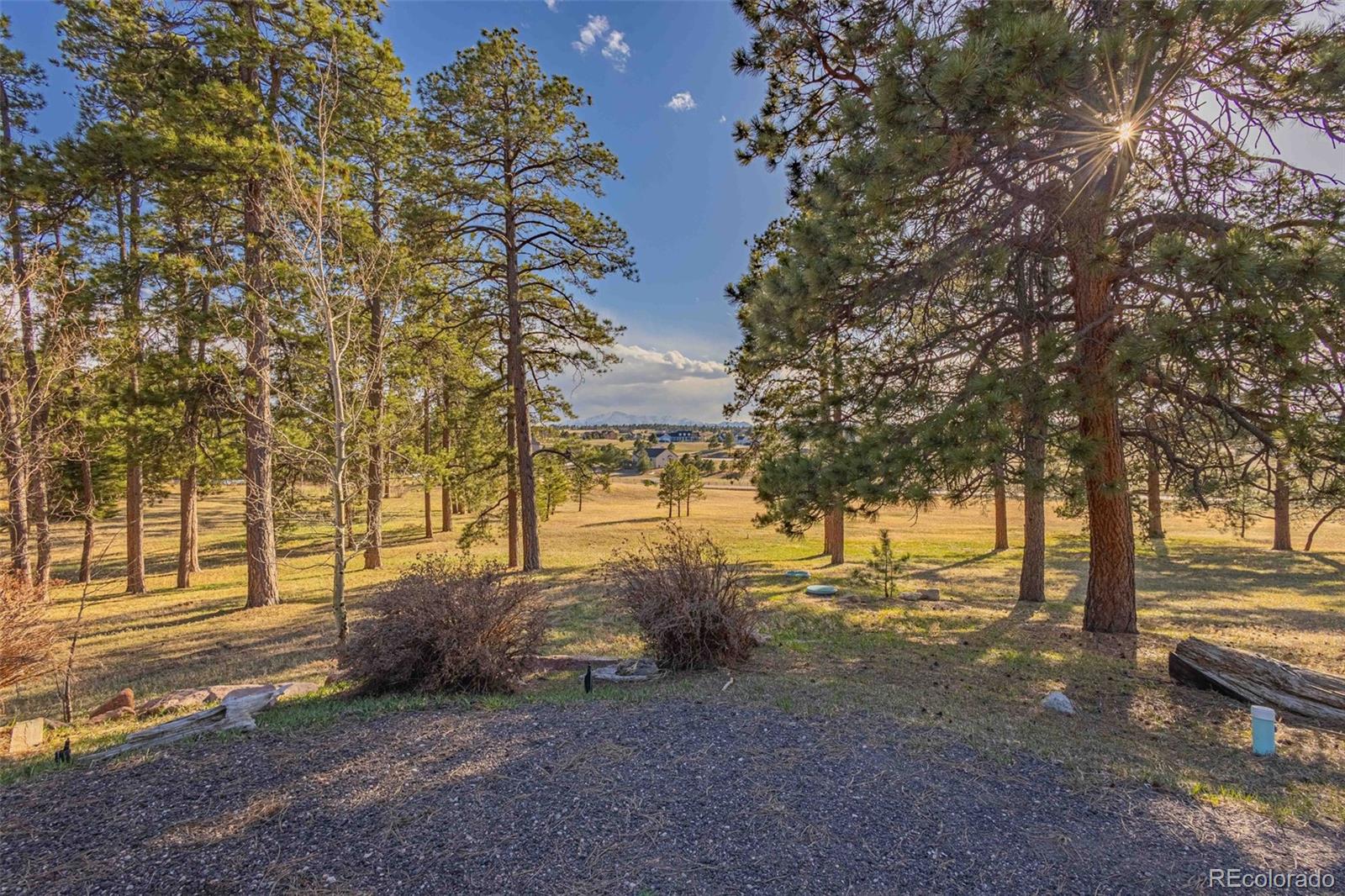 MLS Image #9 for 17675  state highway 83 ,colorado springs, Colorado