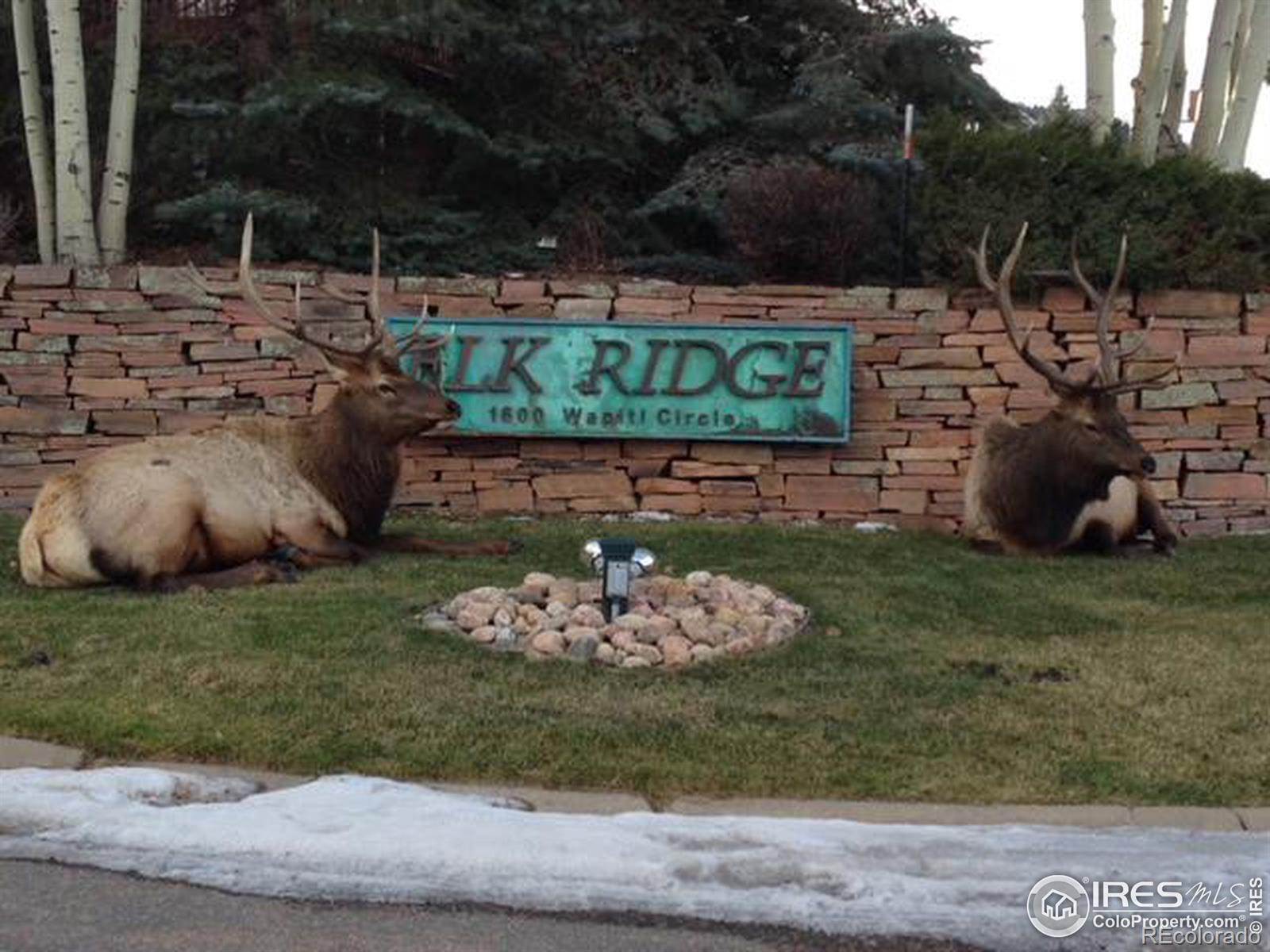 MLS Image #0 for 1600  wapiti circle,estes park, Colorado