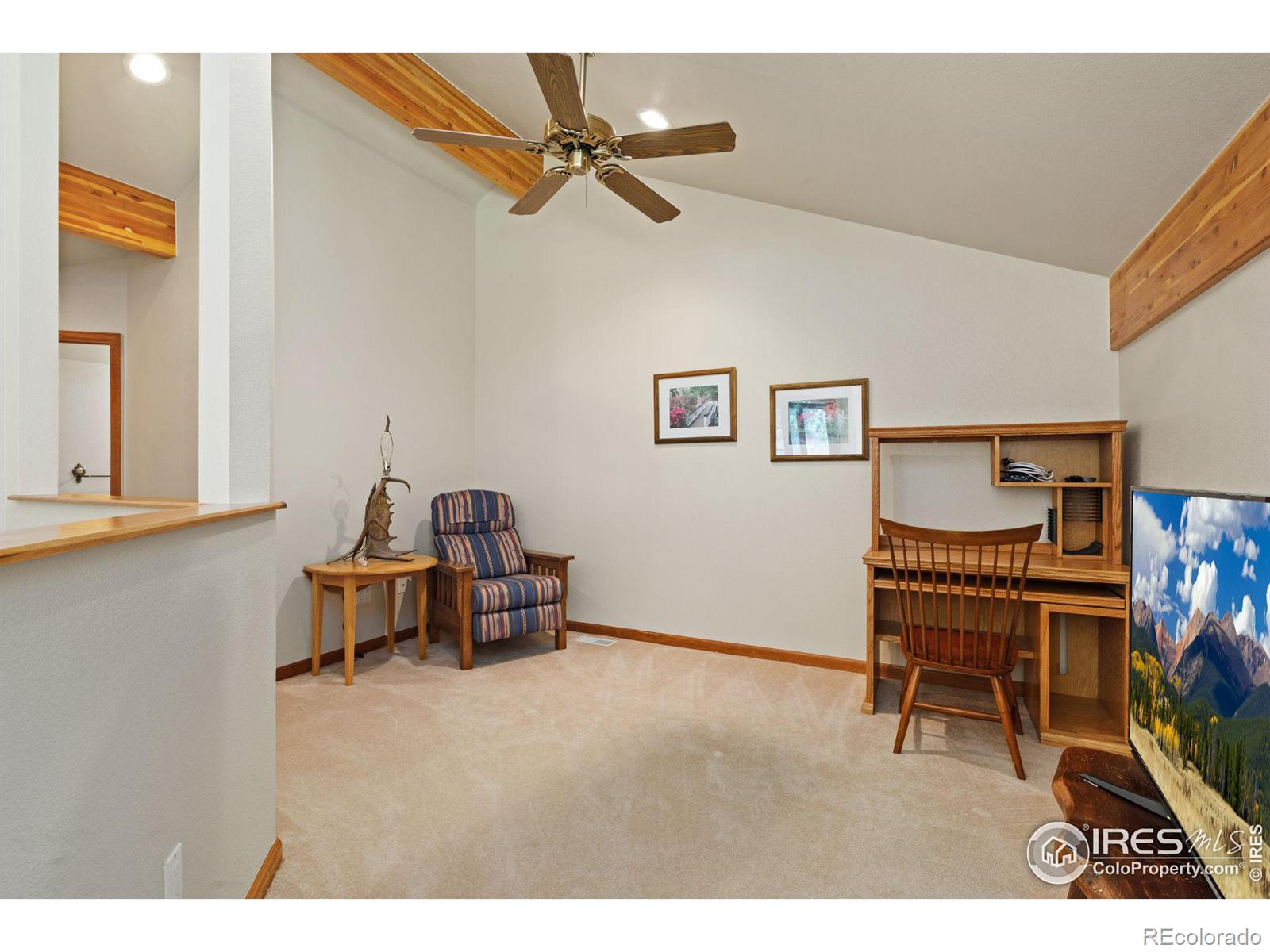 MLS Image #30 for 1600  wapiti circle,estes park, Colorado