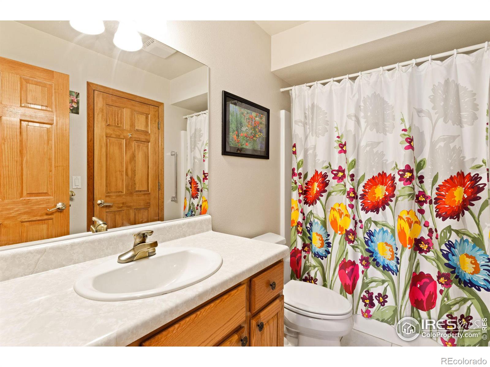 MLS Image #9 for 1600  wapiti circle,estes park, Colorado