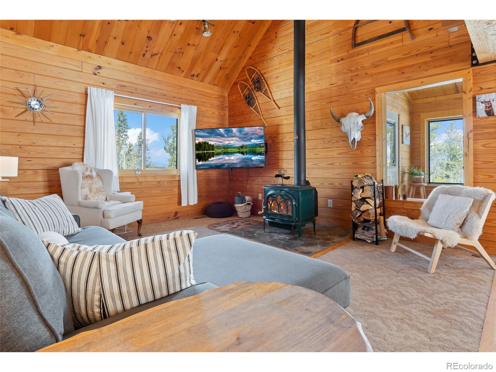 MLS Image #12 for 1666  high creek road,fairplay, Colorado