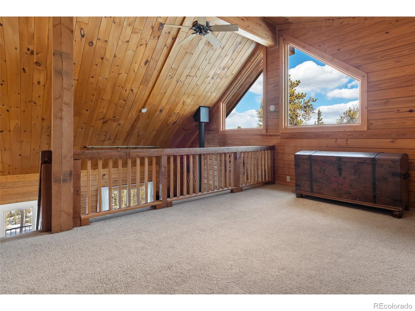 MLS Image #18 for 1666  high creek road,fairplay, Colorado