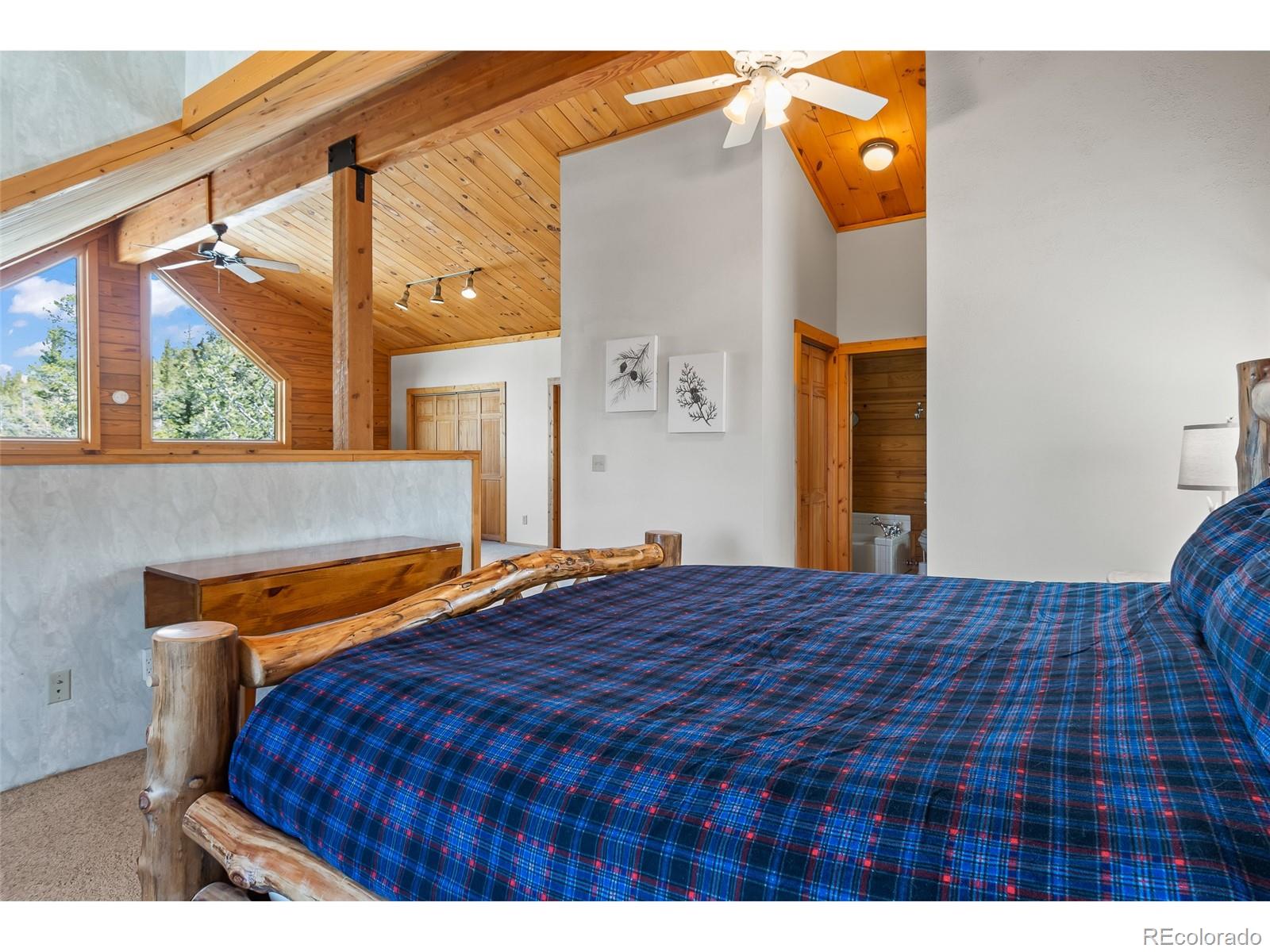 MLS Image #21 for 1666  high creek road,fairplay, Colorado