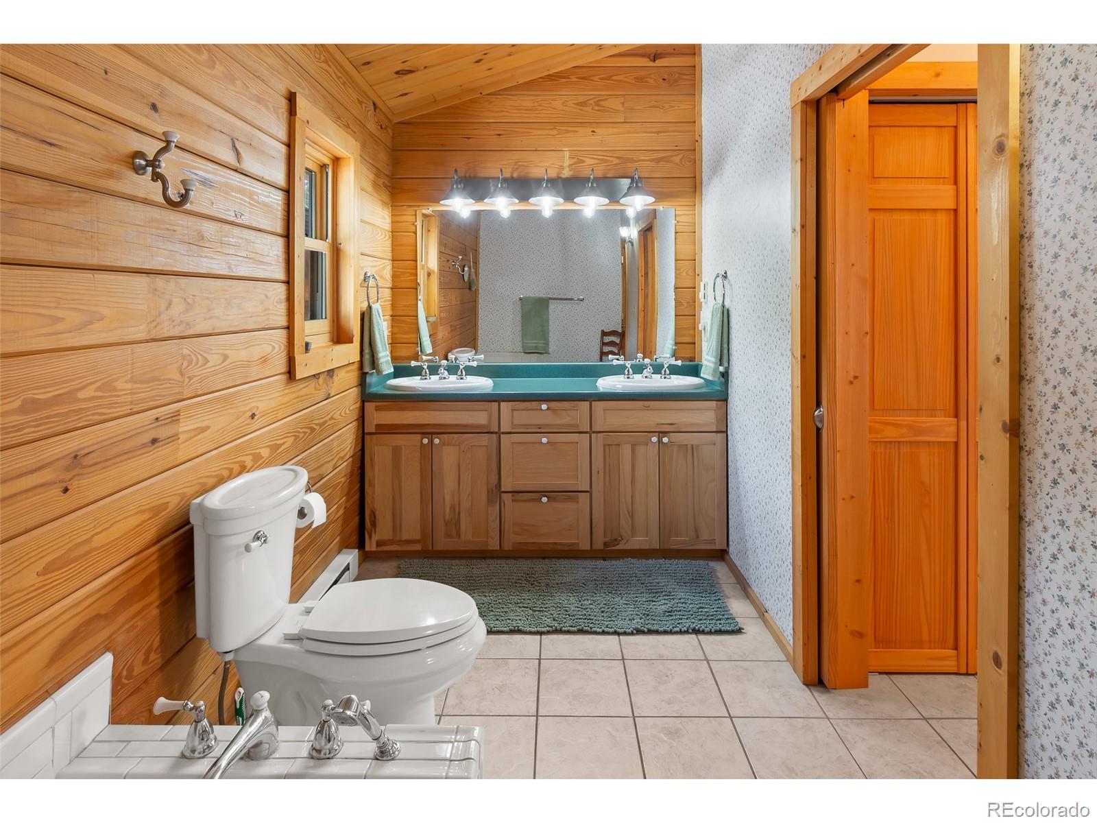 MLS Image #22 for 1666  high creek road,fairplay, Colorado