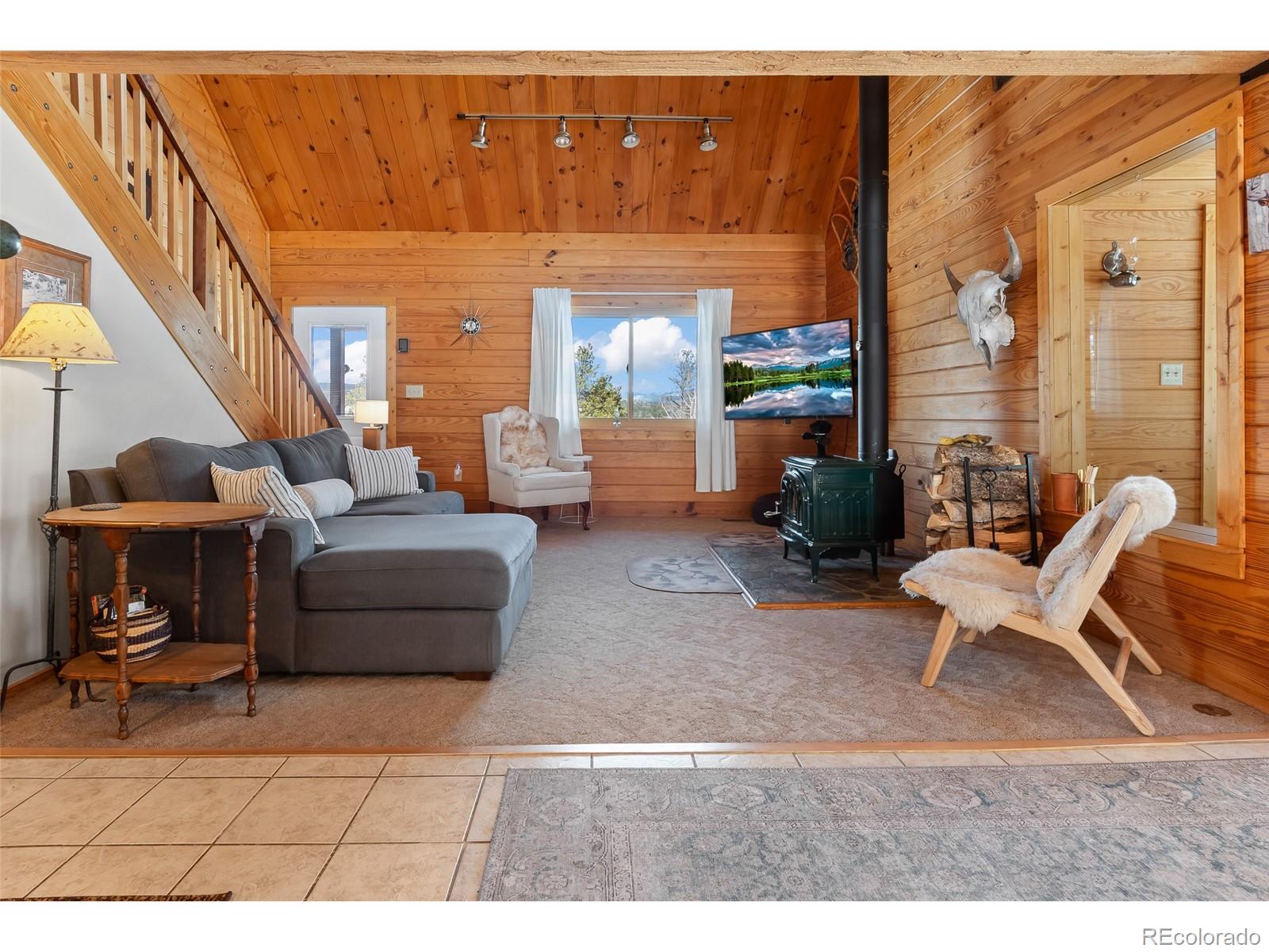 MLS Image #9 for 1666  high creek road,fairplay, Colorado