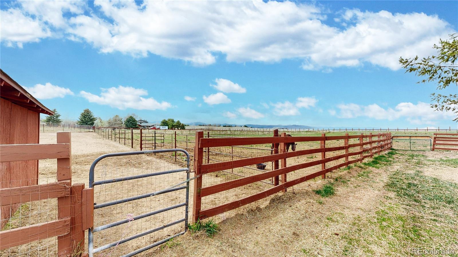 MLS Image #34 for 9348  hills view drive,niwot, Colorado