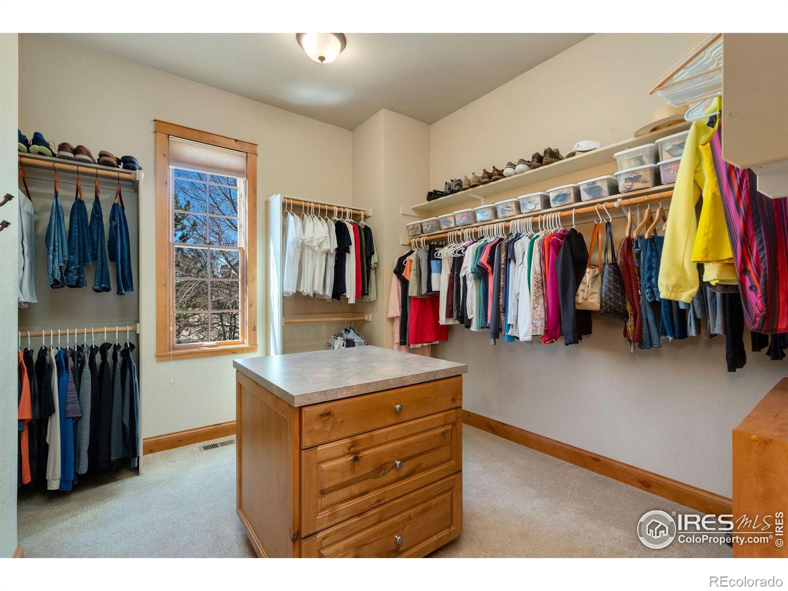 MLS Image #16 for 5936  highland hills circle,fort collins, Colorado