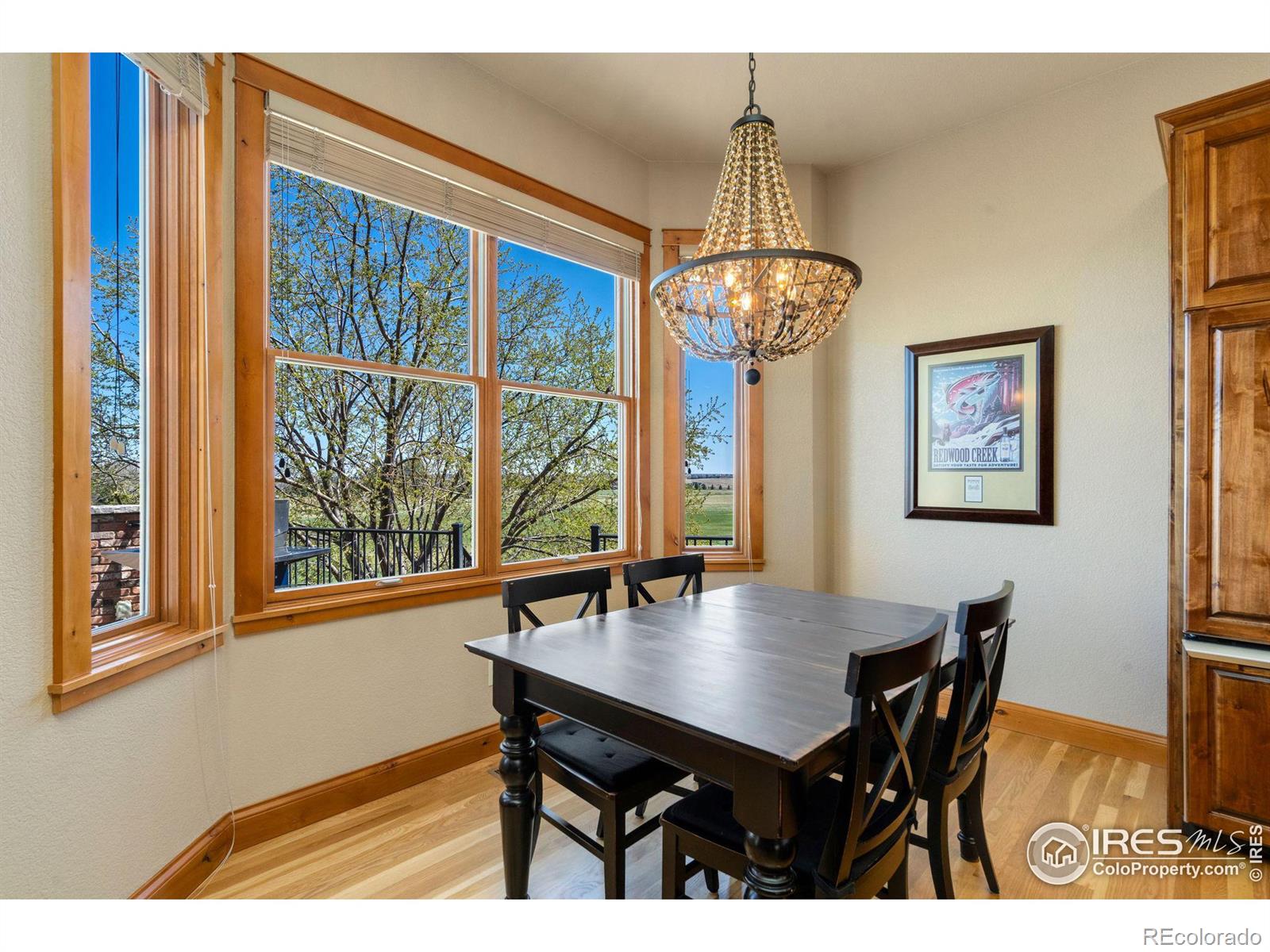 MLS Image #9 for 5936  highland hills circle,fort collins, Colorado