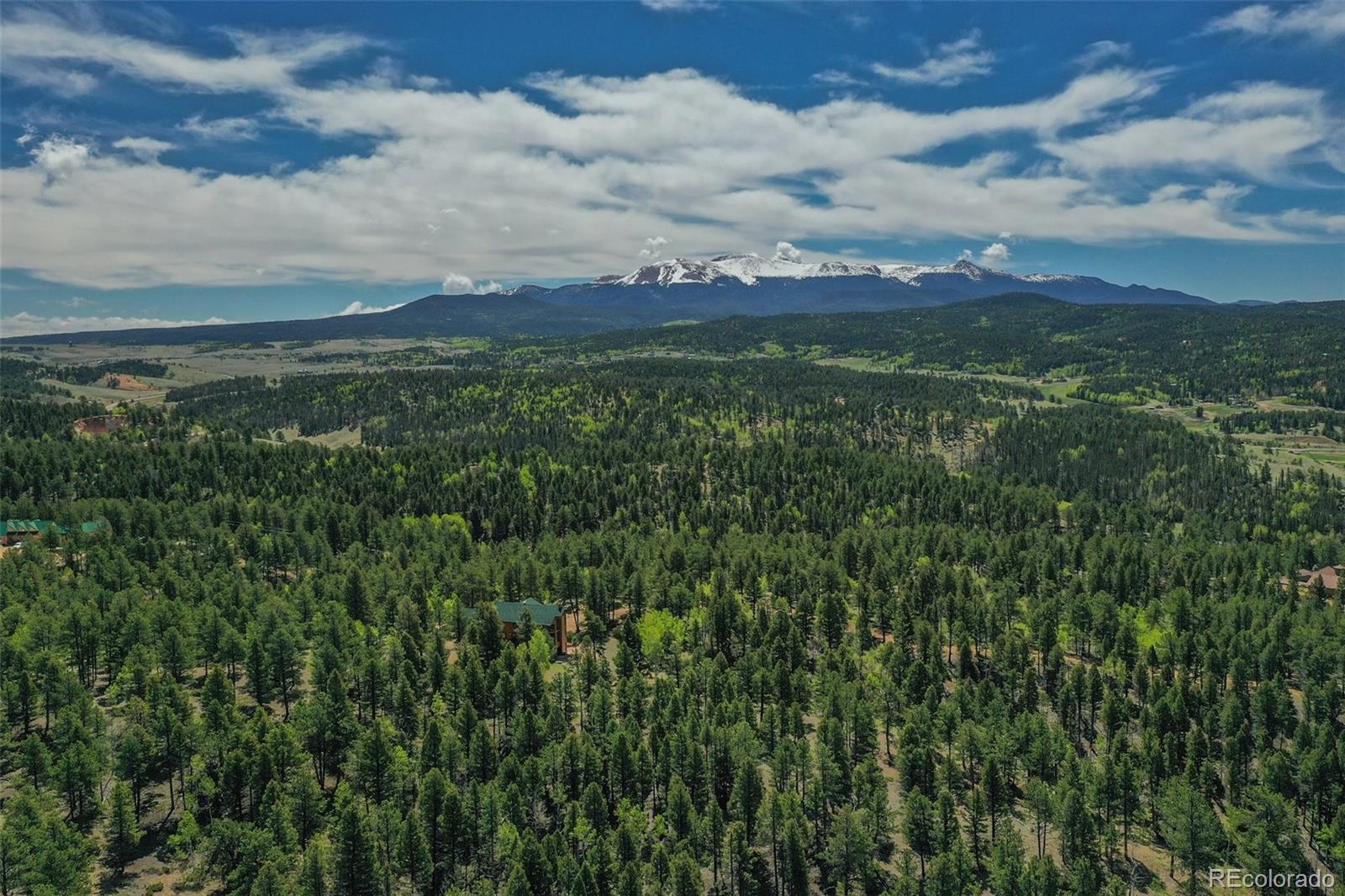 MLS Image #47 for 527  cougar point,divide, Colorado