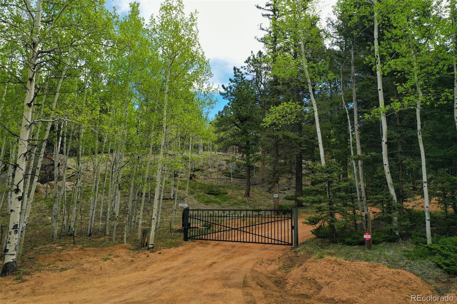 MLS Image #48 for 527  cougar point,divide, Colorado